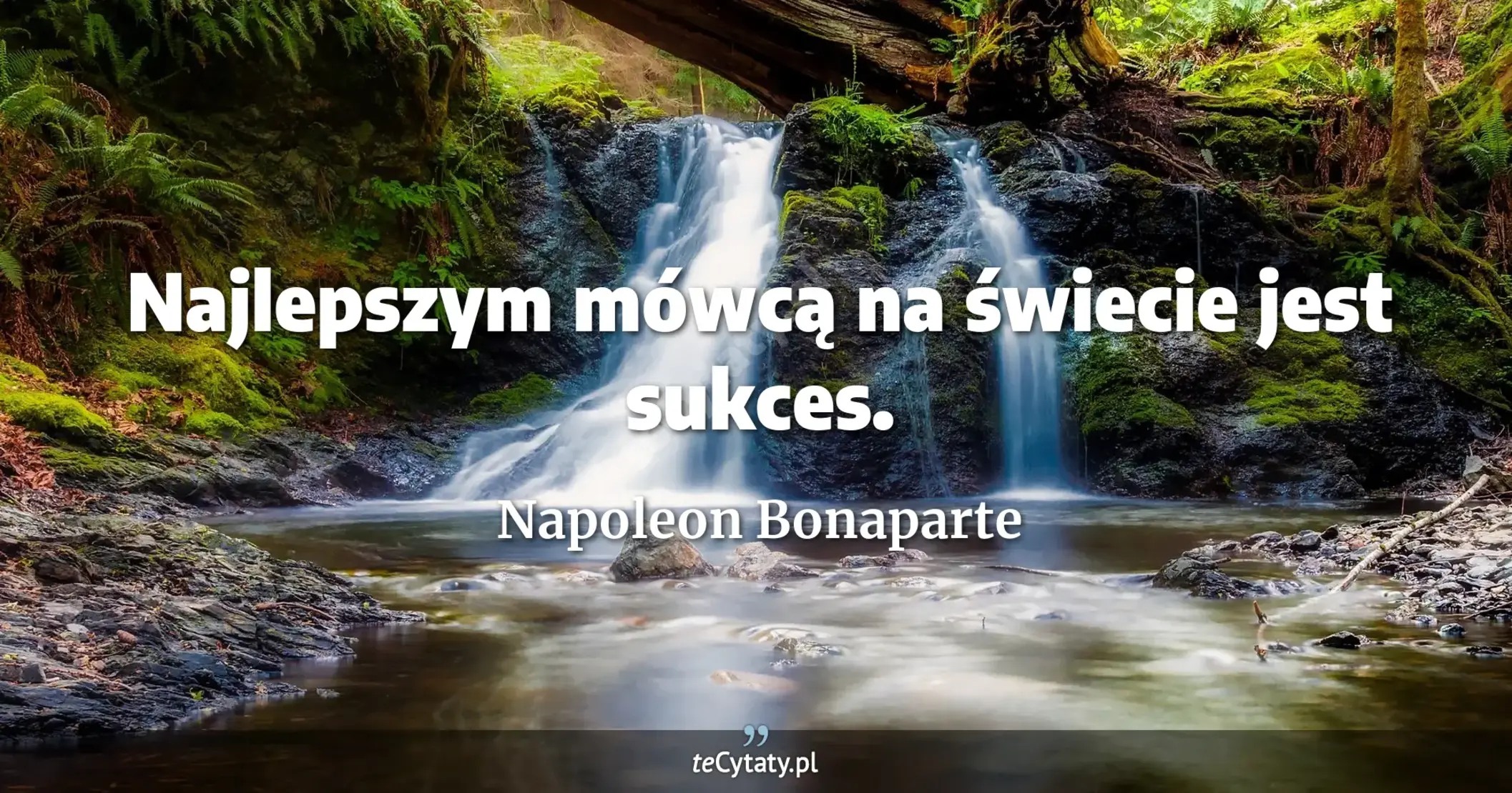Najlepszym mówcą na świecie jest sukces. - Napoleon Bonaparte