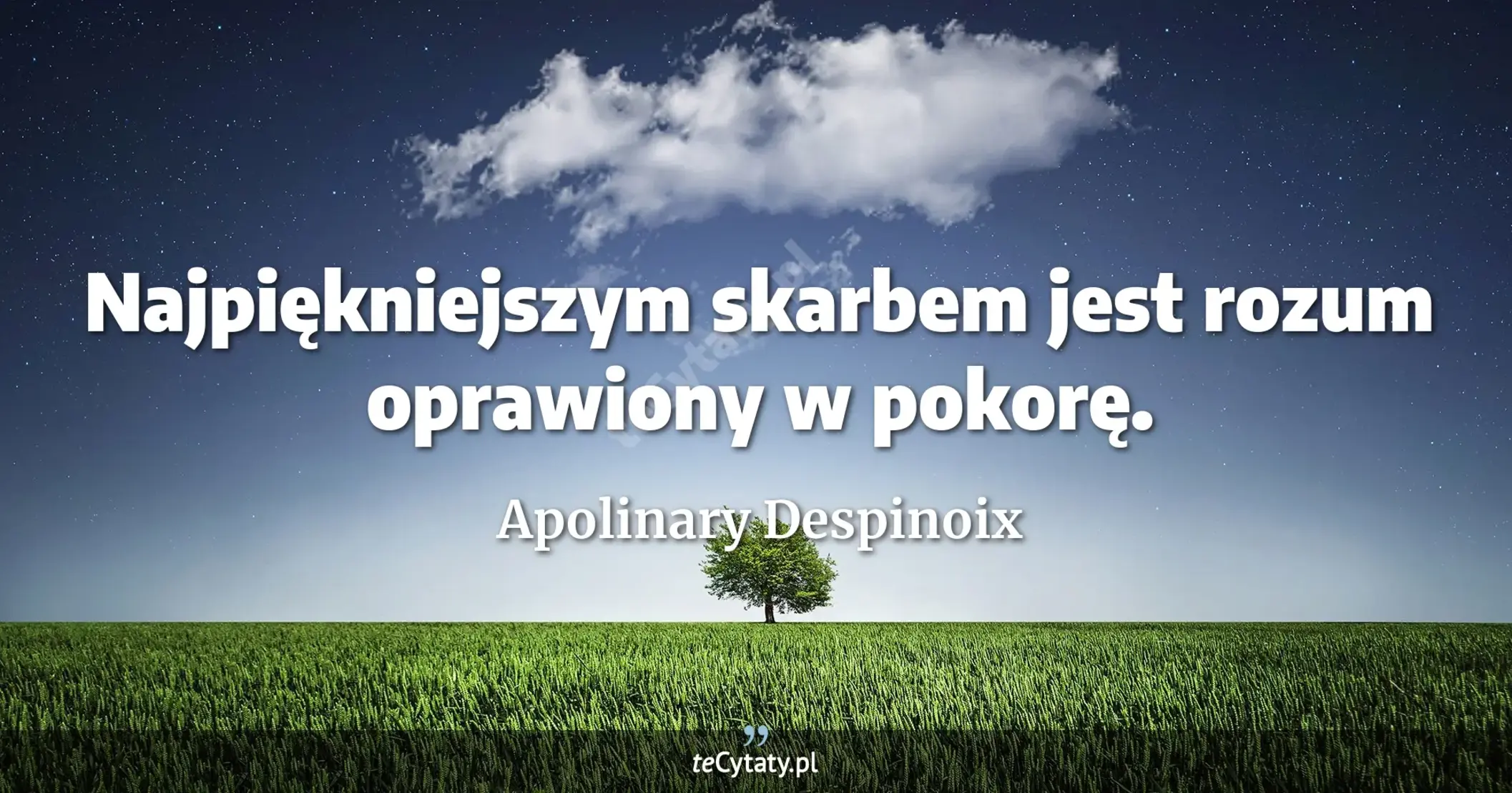 Najpiękniejszym skarbem jest rozum oprawiony w pokorę. - Apolinary Despinoix