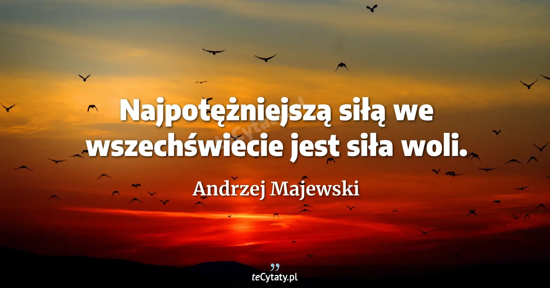 Najpotężniejszą siłą we wszechświecie jest siła woli. - Andrzej Majewski