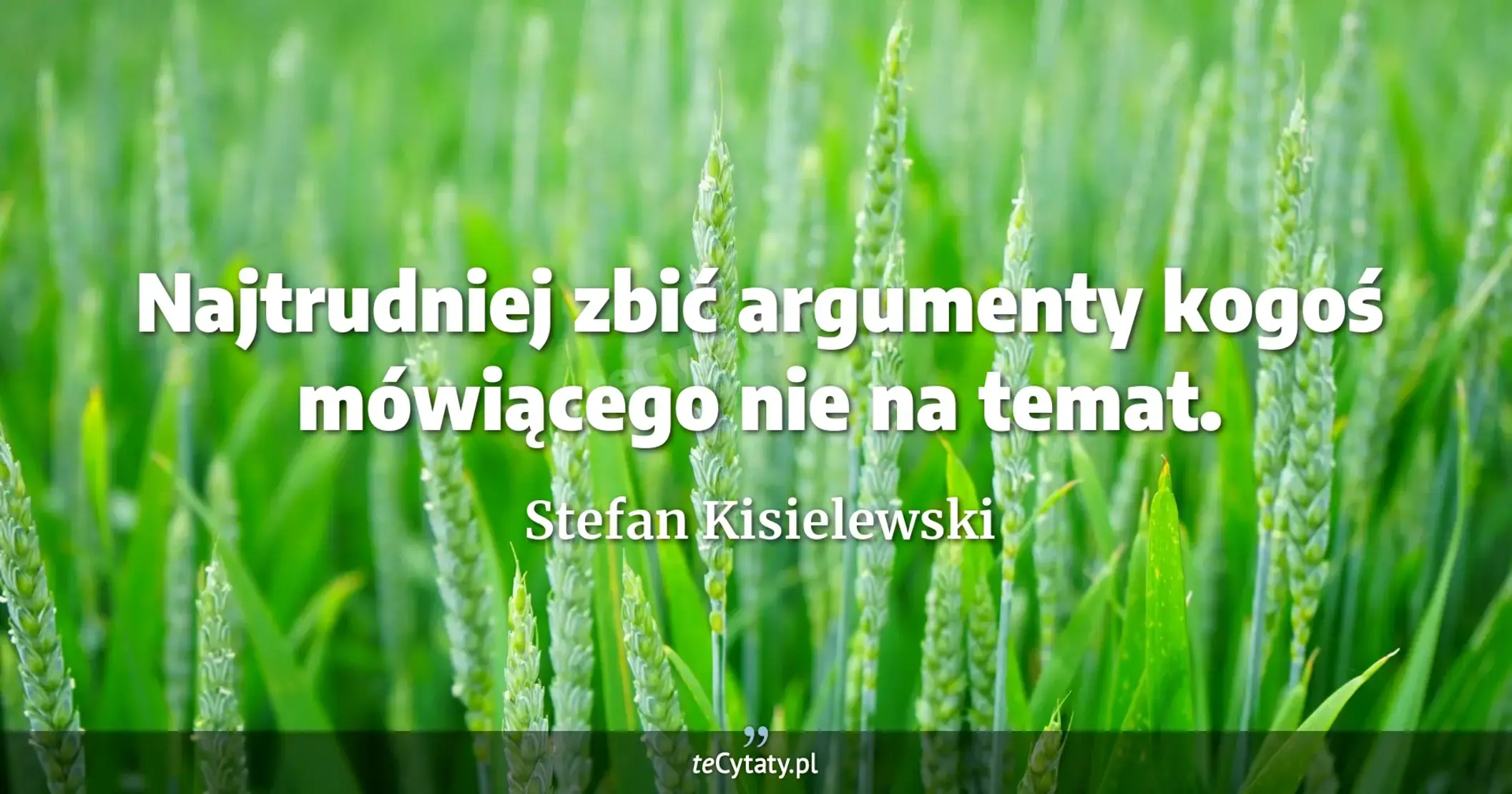 Najtrudniej zbić argumenty kogoś mówiącego nie na temat. - Stefan Kisielewski