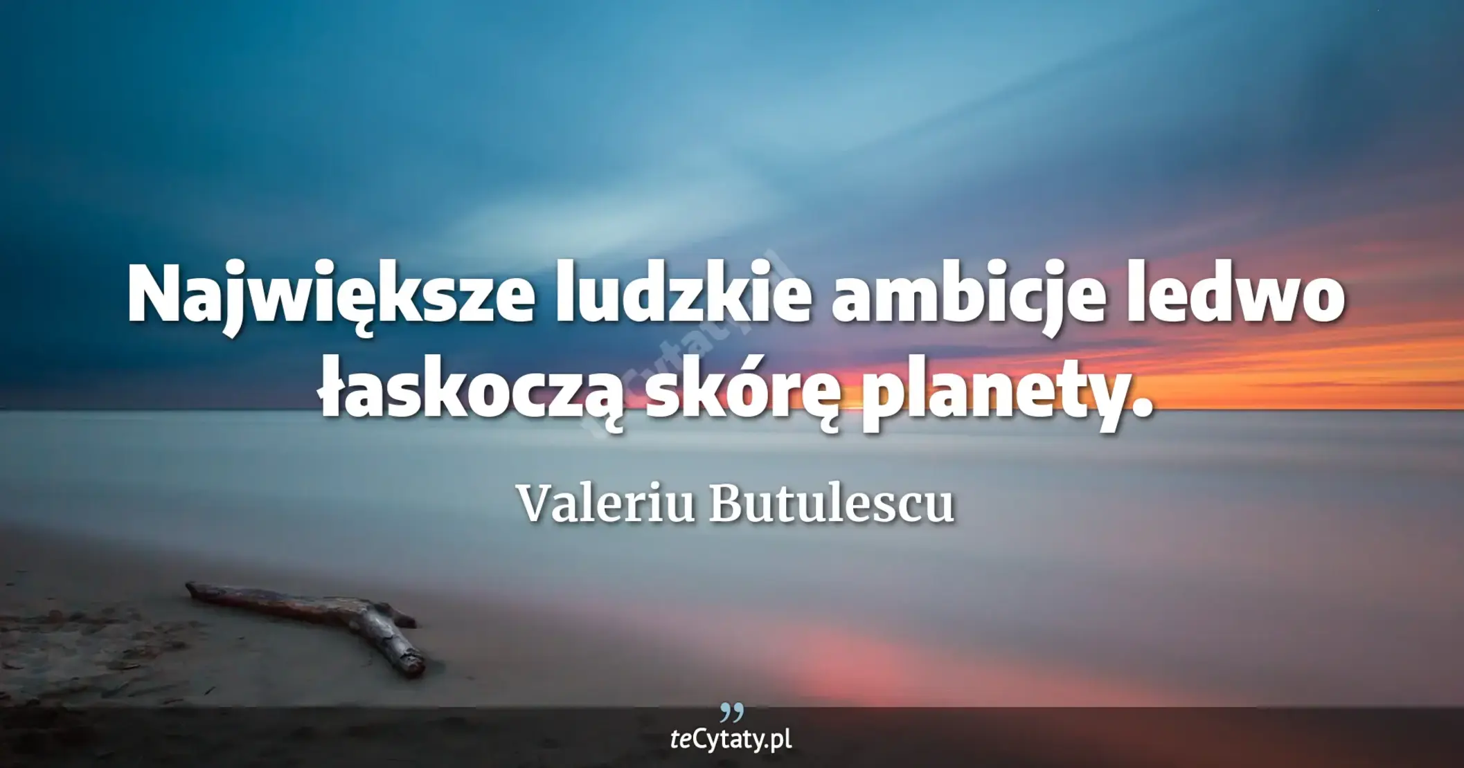 Największe ludzkie ambicje ledwo łaskoczą skórę planety. - Valeriu Butulescu