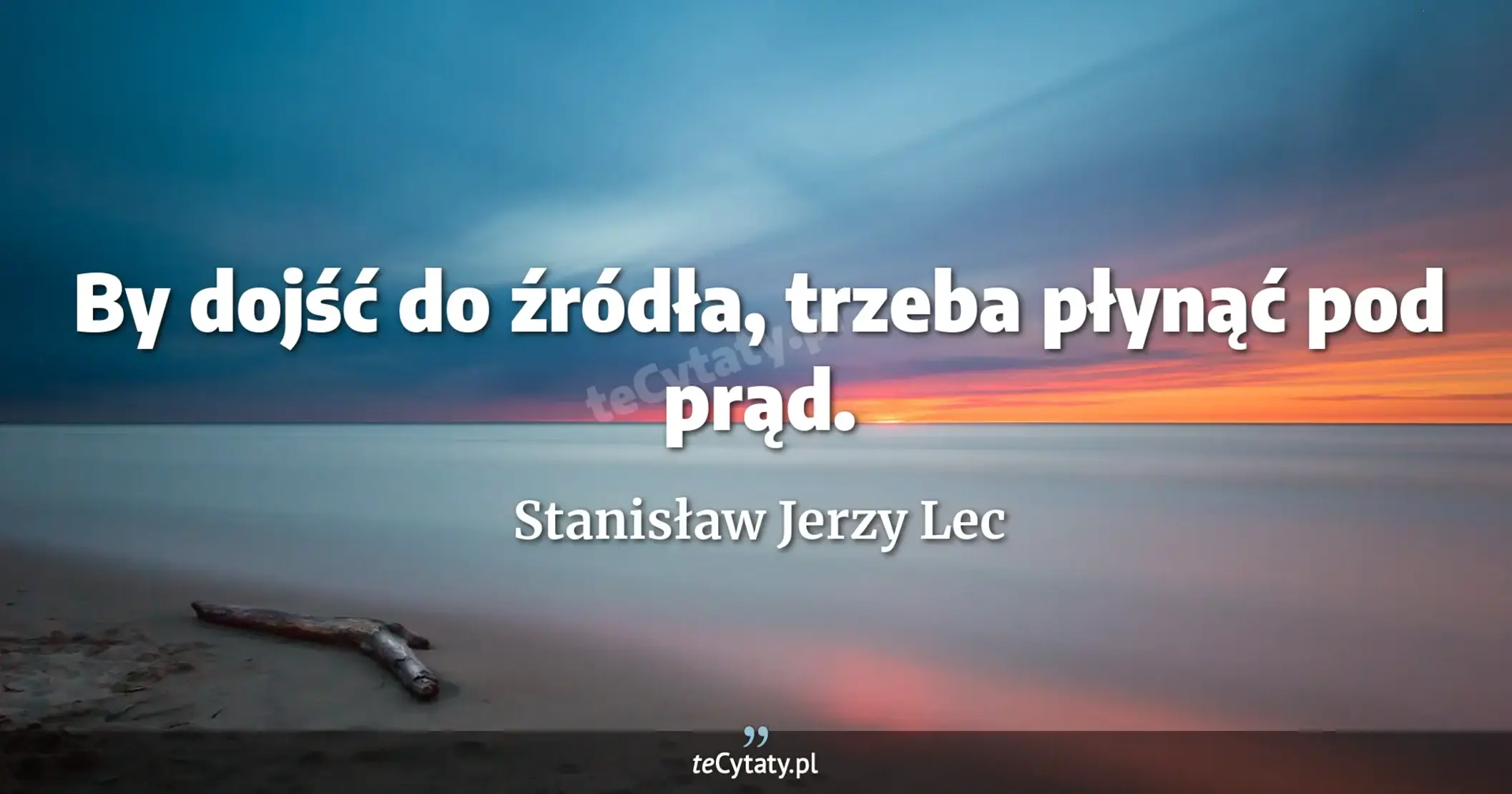 By dojść do źródła, trzeba płynąć pod prąd. - Stanisław Jerzy Lec