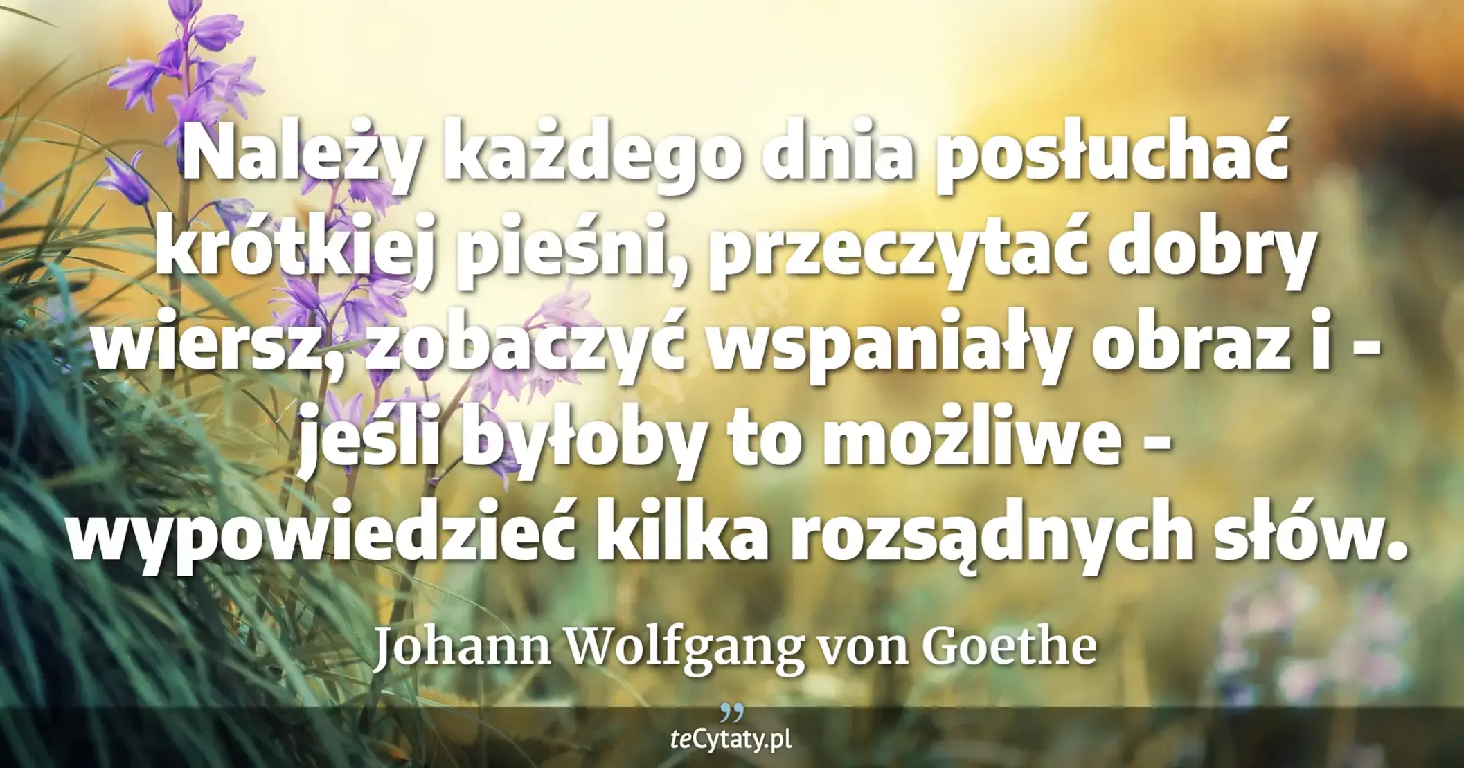 Należy każdego dnia posłuchać krótkiej pieśni, przeczytać dobry wiersz, zobaczyć wspaniały obraz i - jeśli byłoby to możliwe - wypowiedzieć kilka rozsądnych słów. - Johann Wolfgang von Goethe