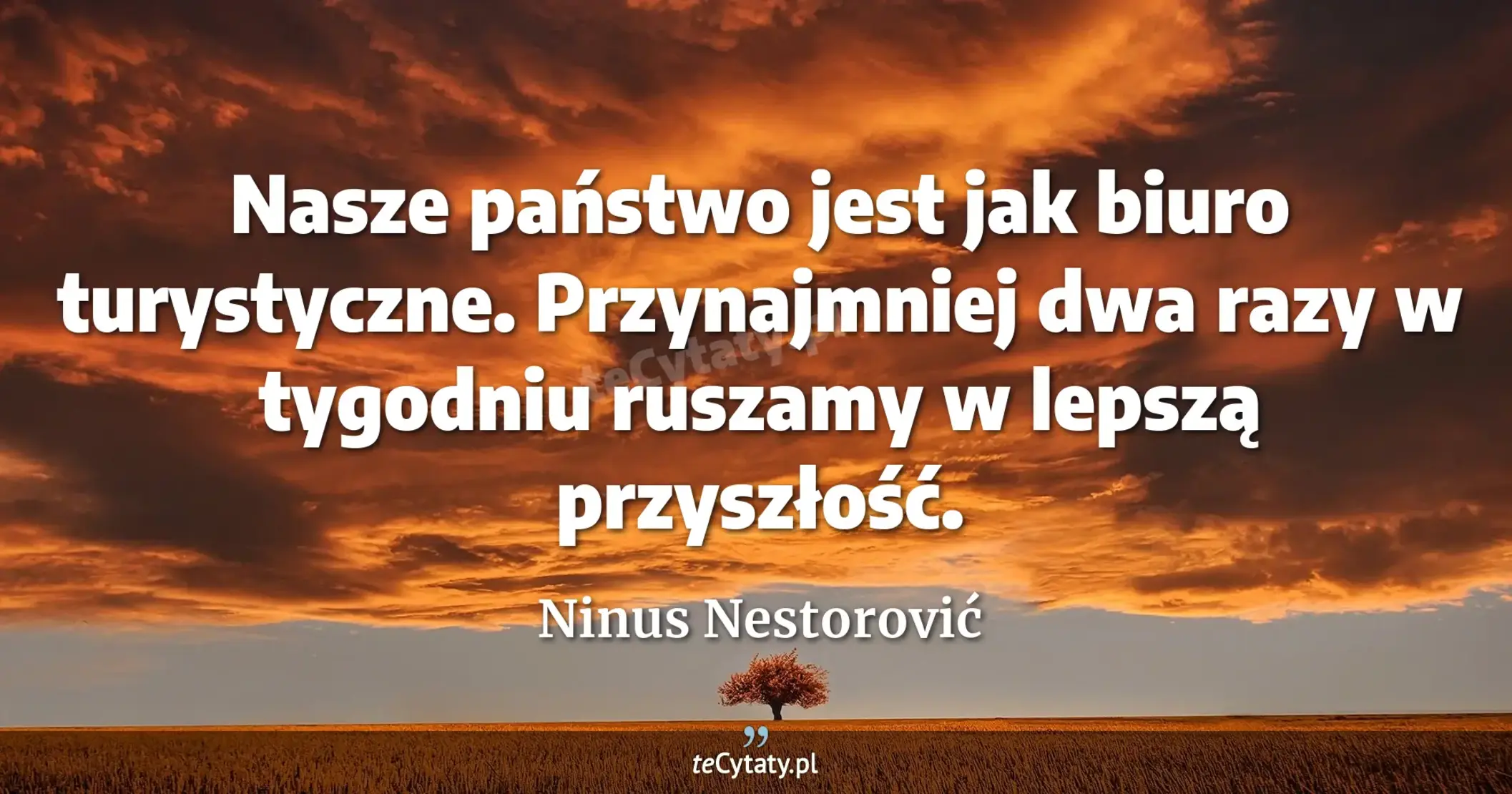 Nasze państwo jest jak biuro turystyczne. Przynajmniej dwa razy w tygodniu ruszamy w lepszą przyszłość. - Ninus Nestorović