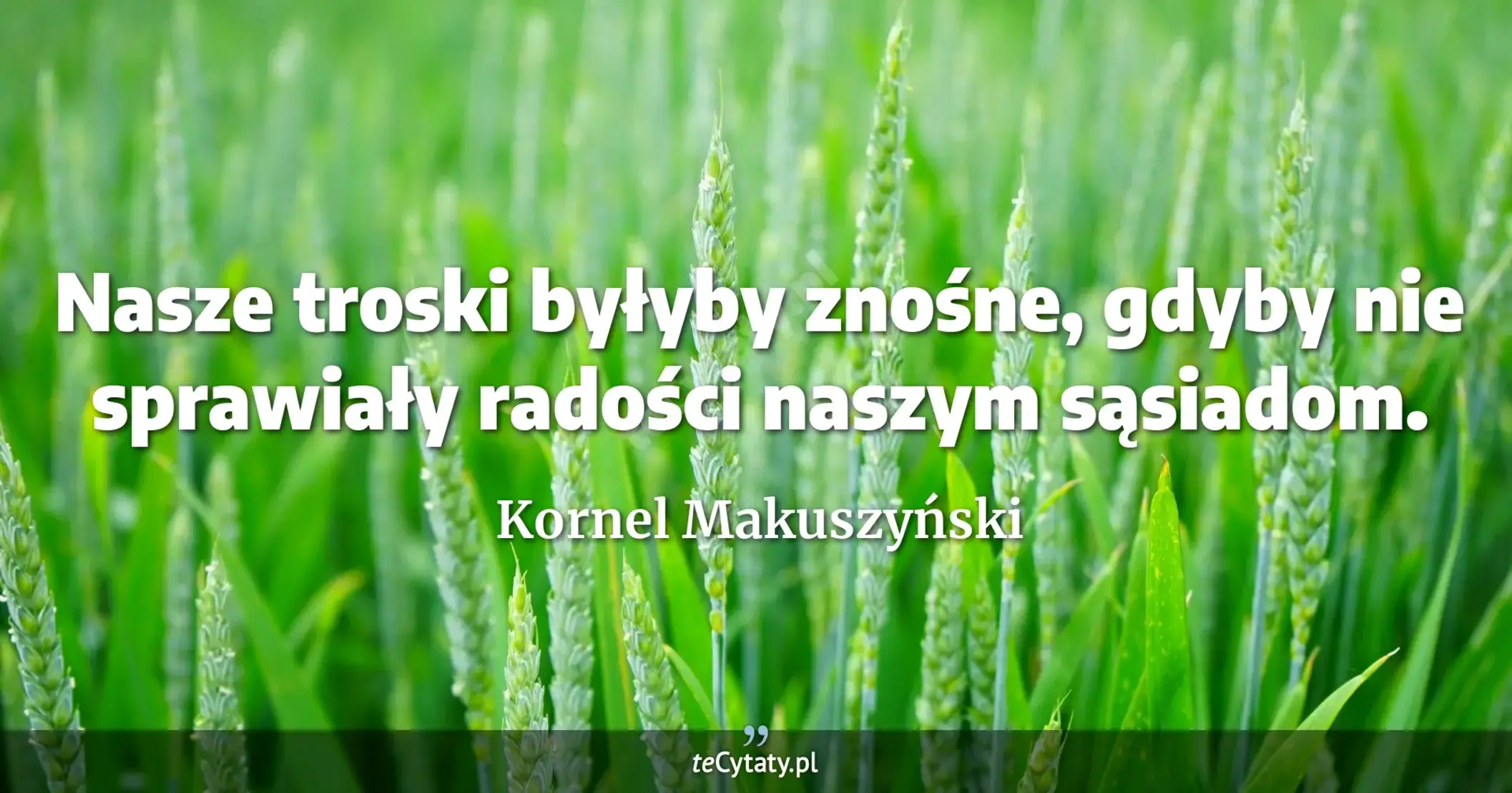 Nasze troski byłyby znośne, gdyby nie sprawiały radości naszym sąsiadom. - Kornel Makuszyński