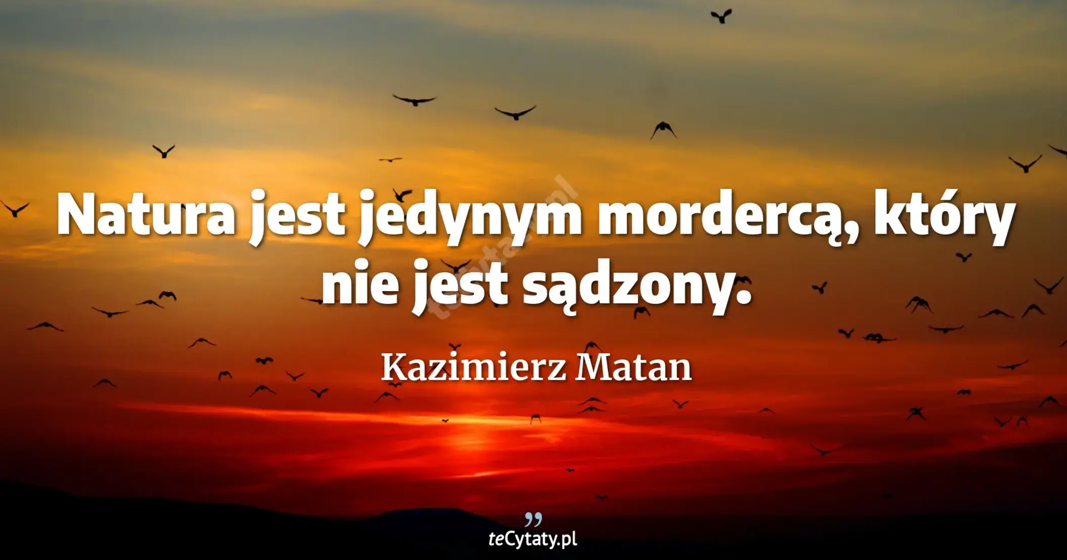 Natura jest jedynym mordercą, który nie jest sądzony. - Kazimierz Matan