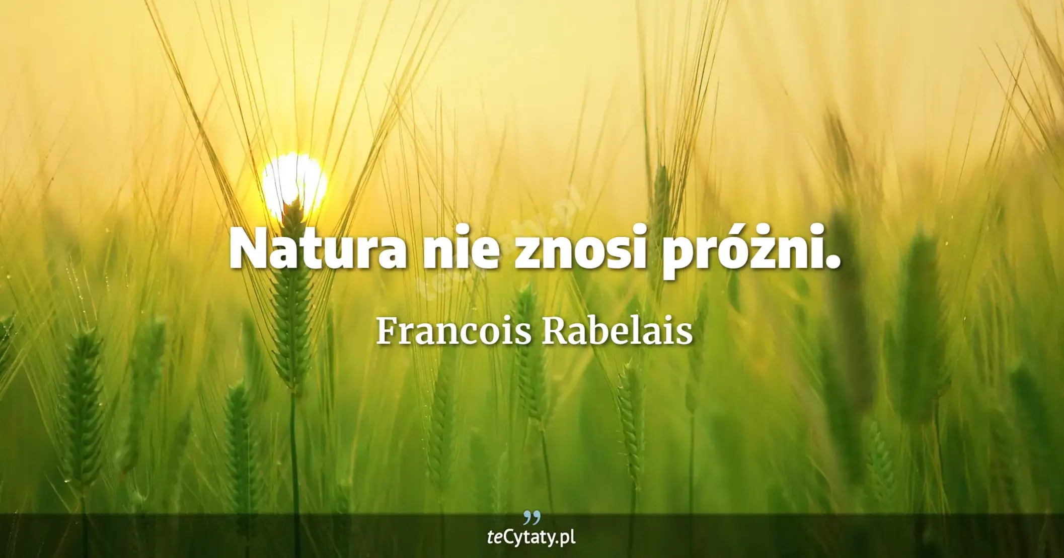 Natura nie znosi próżni. - Francois Rabelais