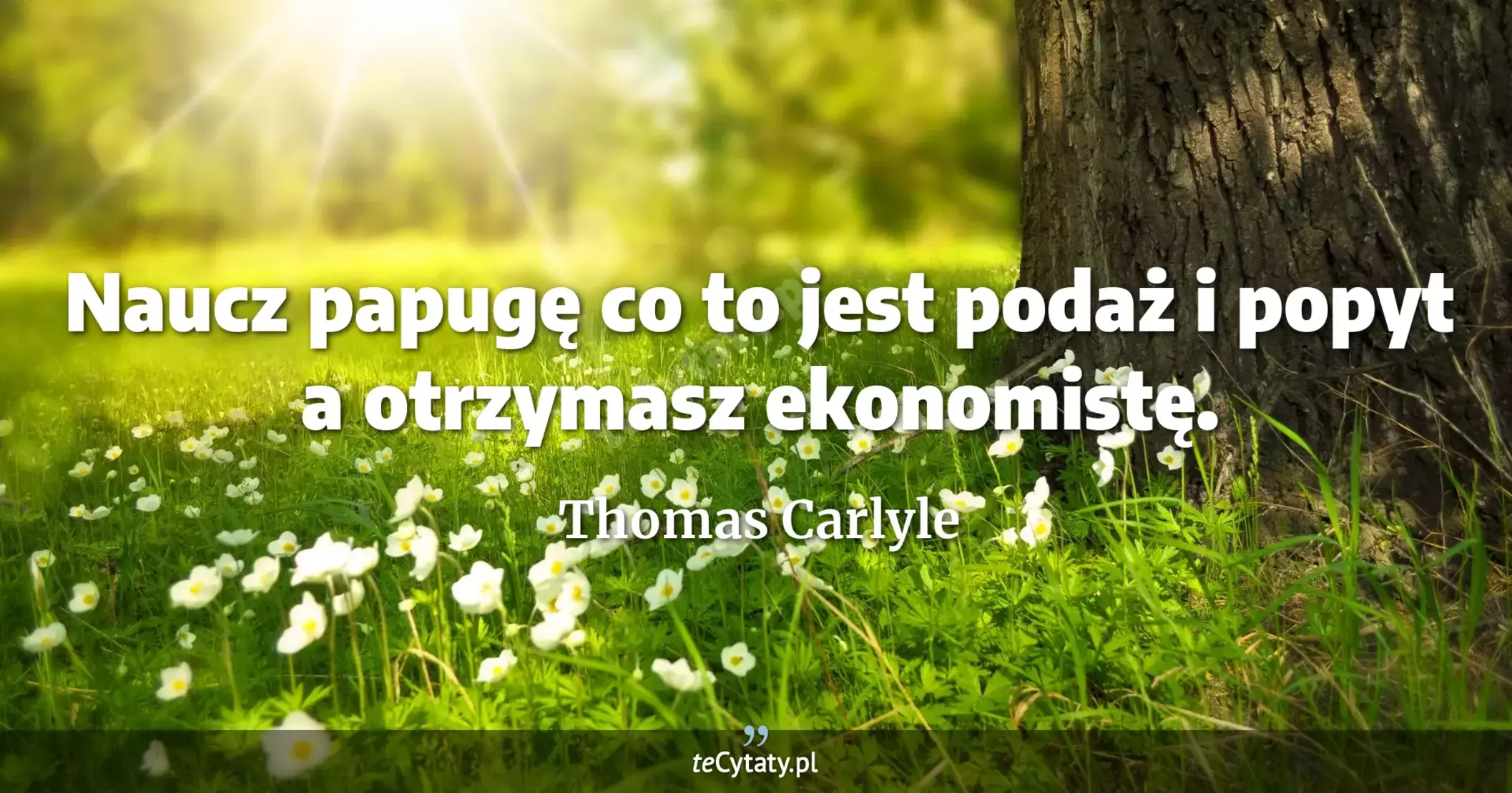 Naucz papugę co to jest podaż i popyt a otrzymasz ekonomistę. - Thomas Carlyle