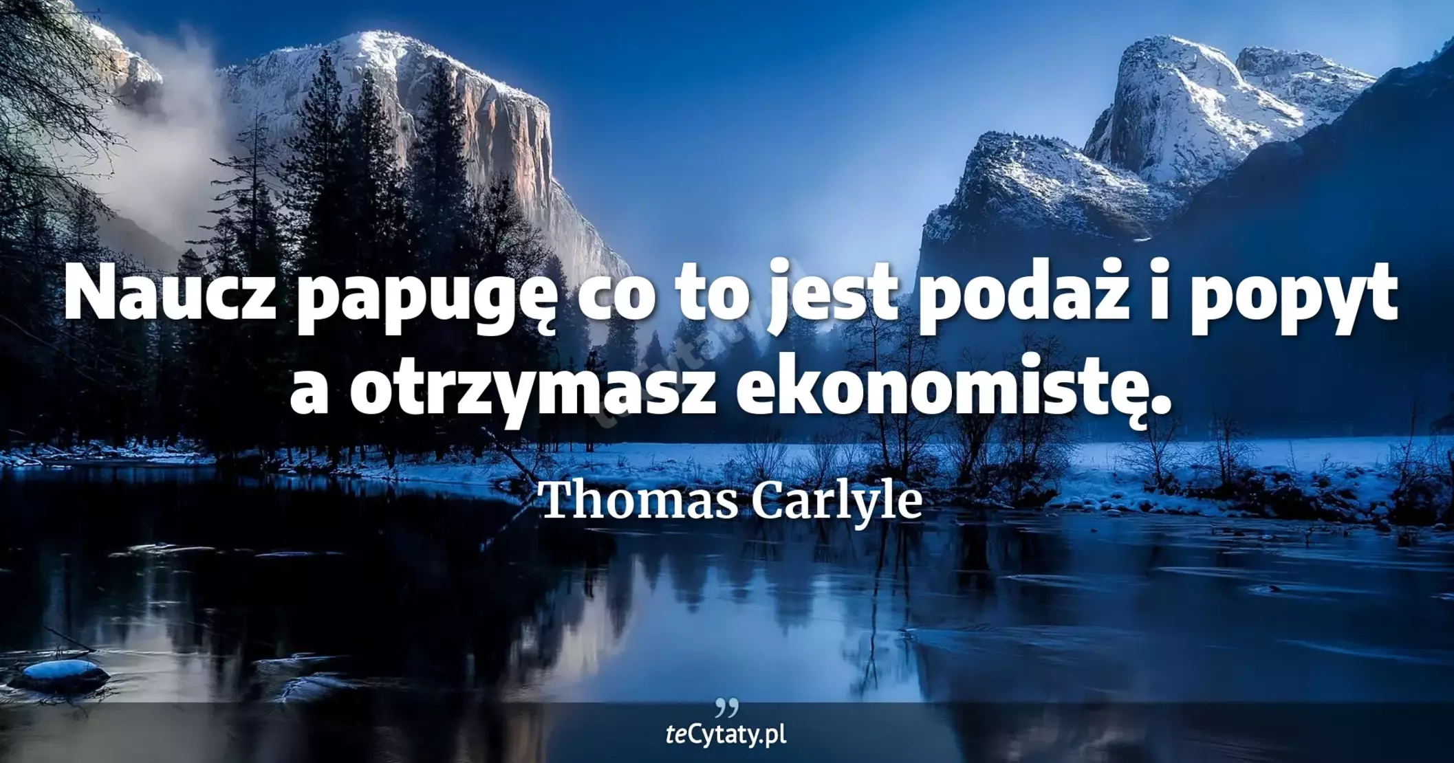 Naucz papugę co to jest podaż i popyt a otrzymasz ekonomistę. - Thomas Carlyle