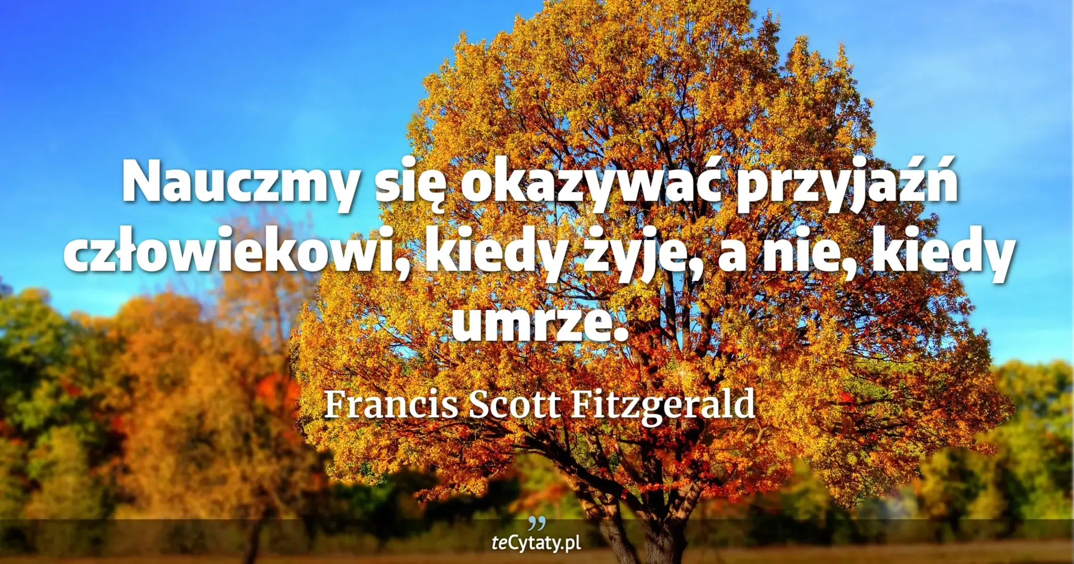 Nauczmy się okazywać przyjaźń człowiekowi, kiedy żyje, a nie, kiedy umrze. - Francis Scott Fitzgerald