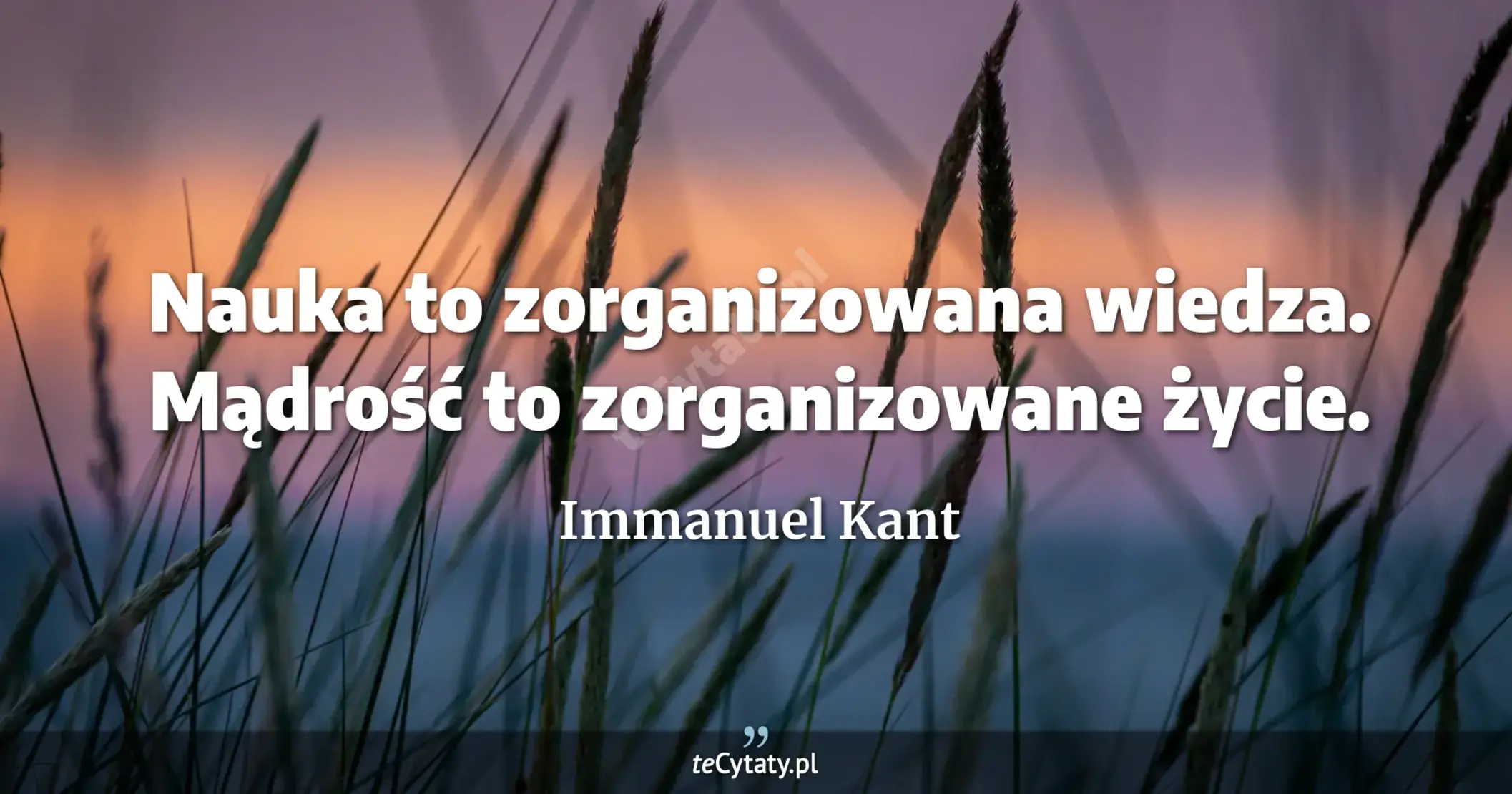Nauka to zorganizowana wiedza. Mądrość to zorganizowane życie. - Immanuel Kant