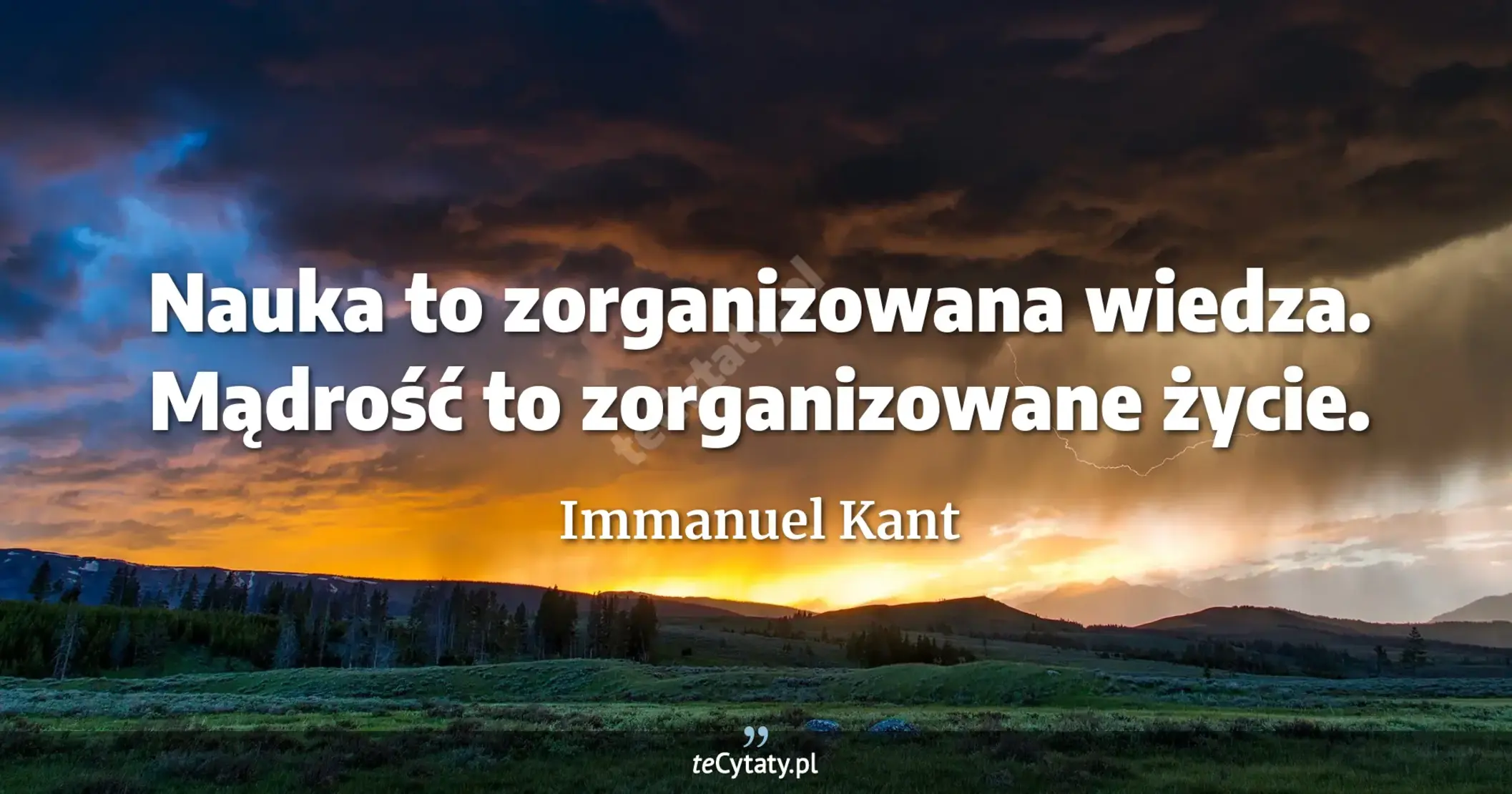 Nauka to zorganizowana wiedza. Mądrość to zorganizowane życie. - Immanuel Kant