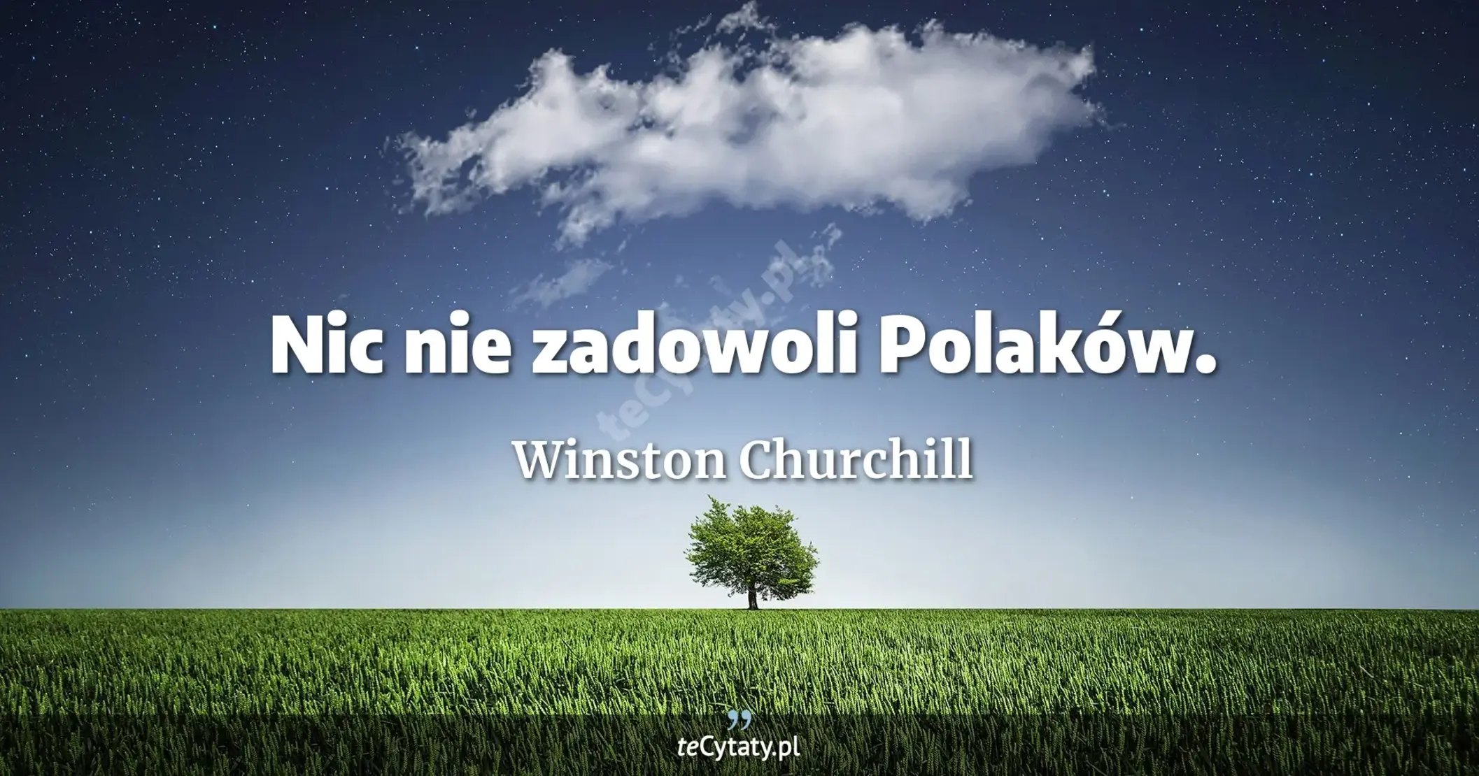Nic nie zadowoli Polaków. - Winston Churchill