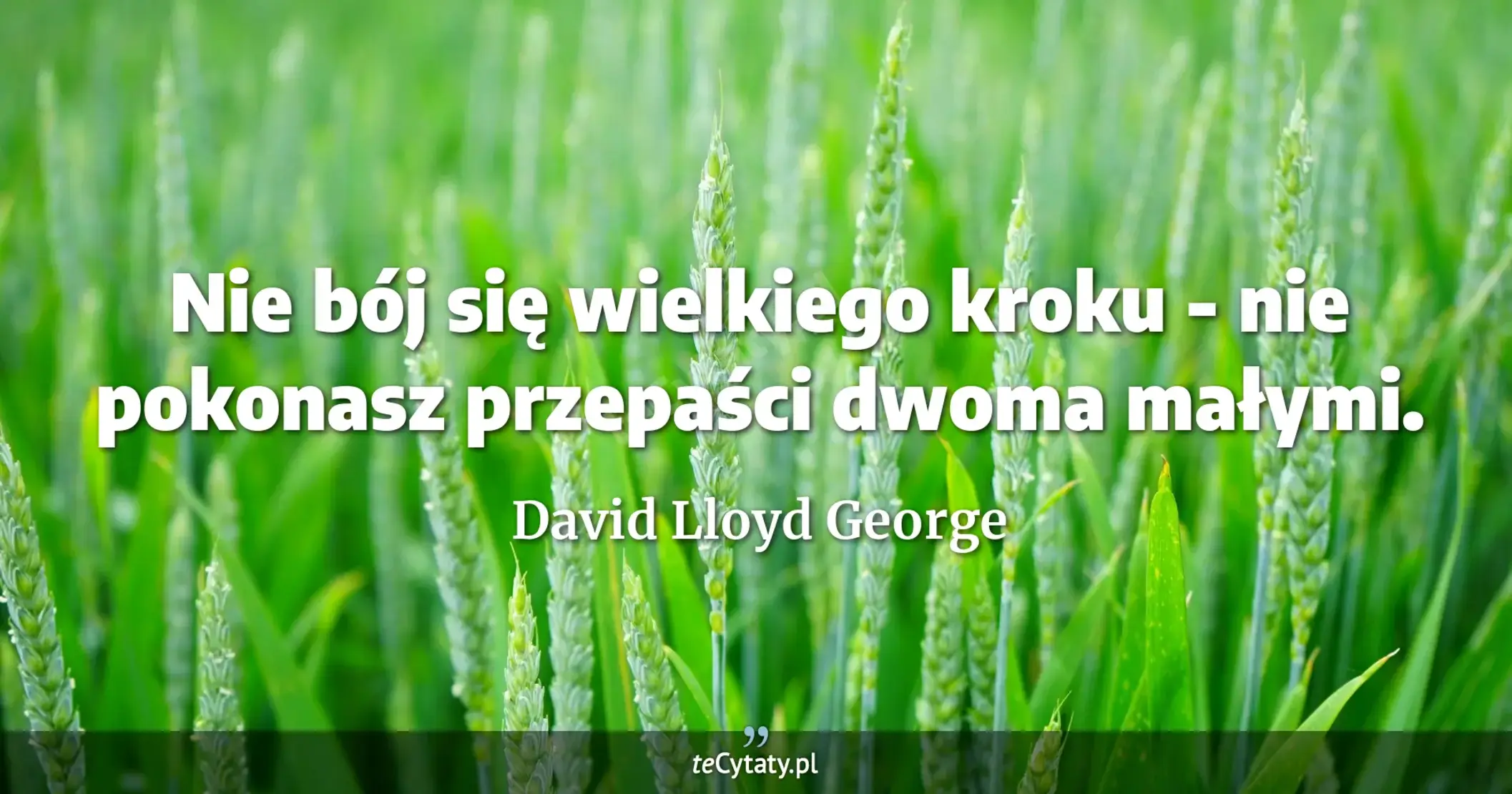 Nie bój się wielkiego kroku - nie pokonasz przepaści dwoma małymi. - David Lloyd George