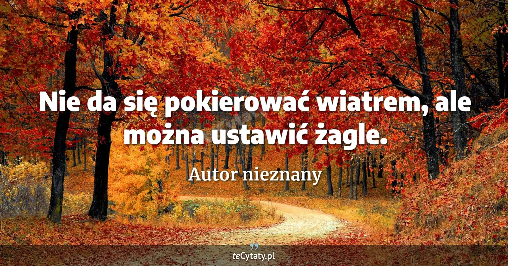 Nie da się pokierować wiatrem, ale można ustawić żagle. - Autor nieznany