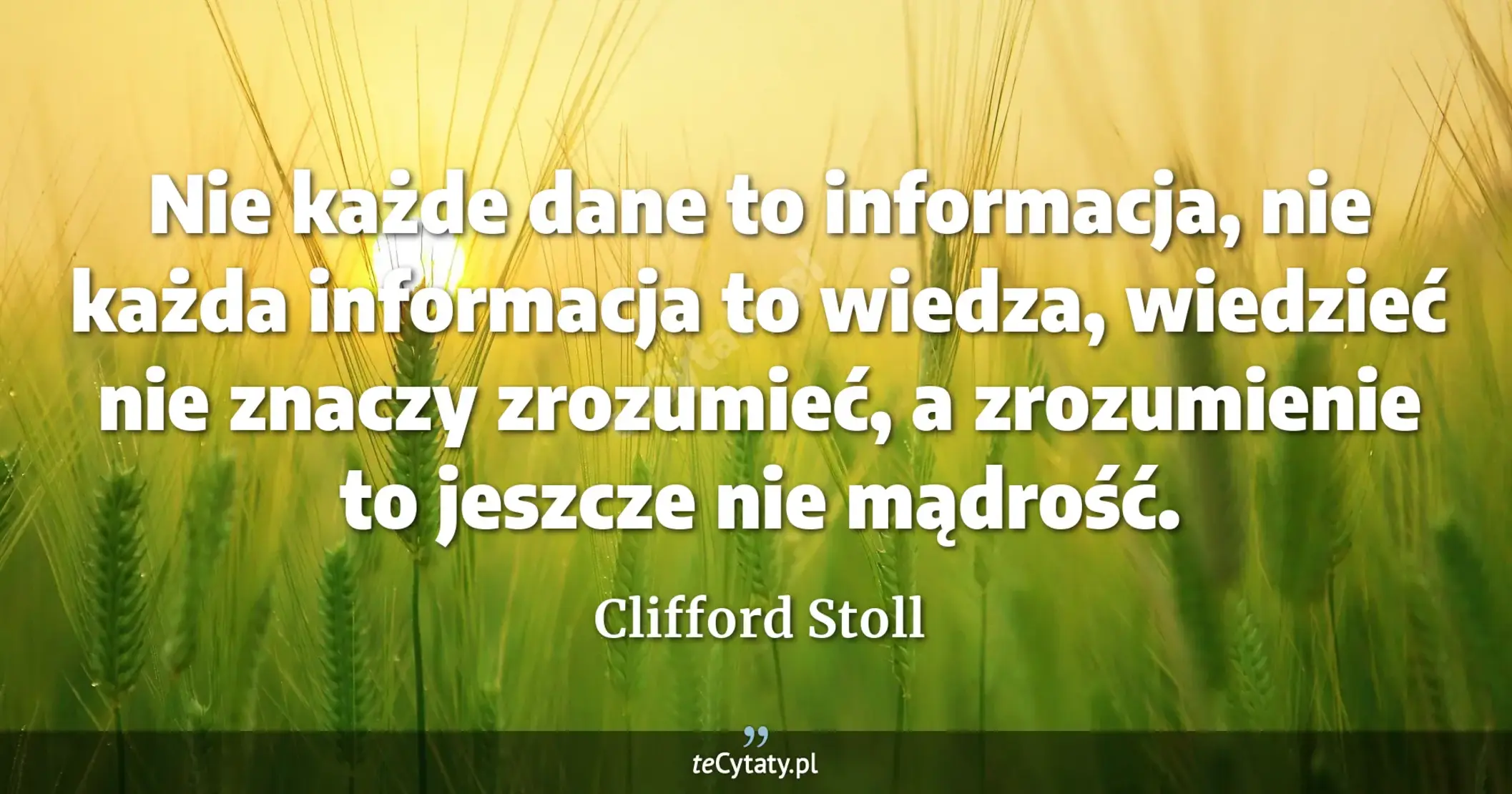 Nie każde dane to informacja, nie każda informacja to wiedza, wiedzieć nie znaczy zrozumieć, a zrozumienie to jeszcze nie mądrość. - Clifford Stoll