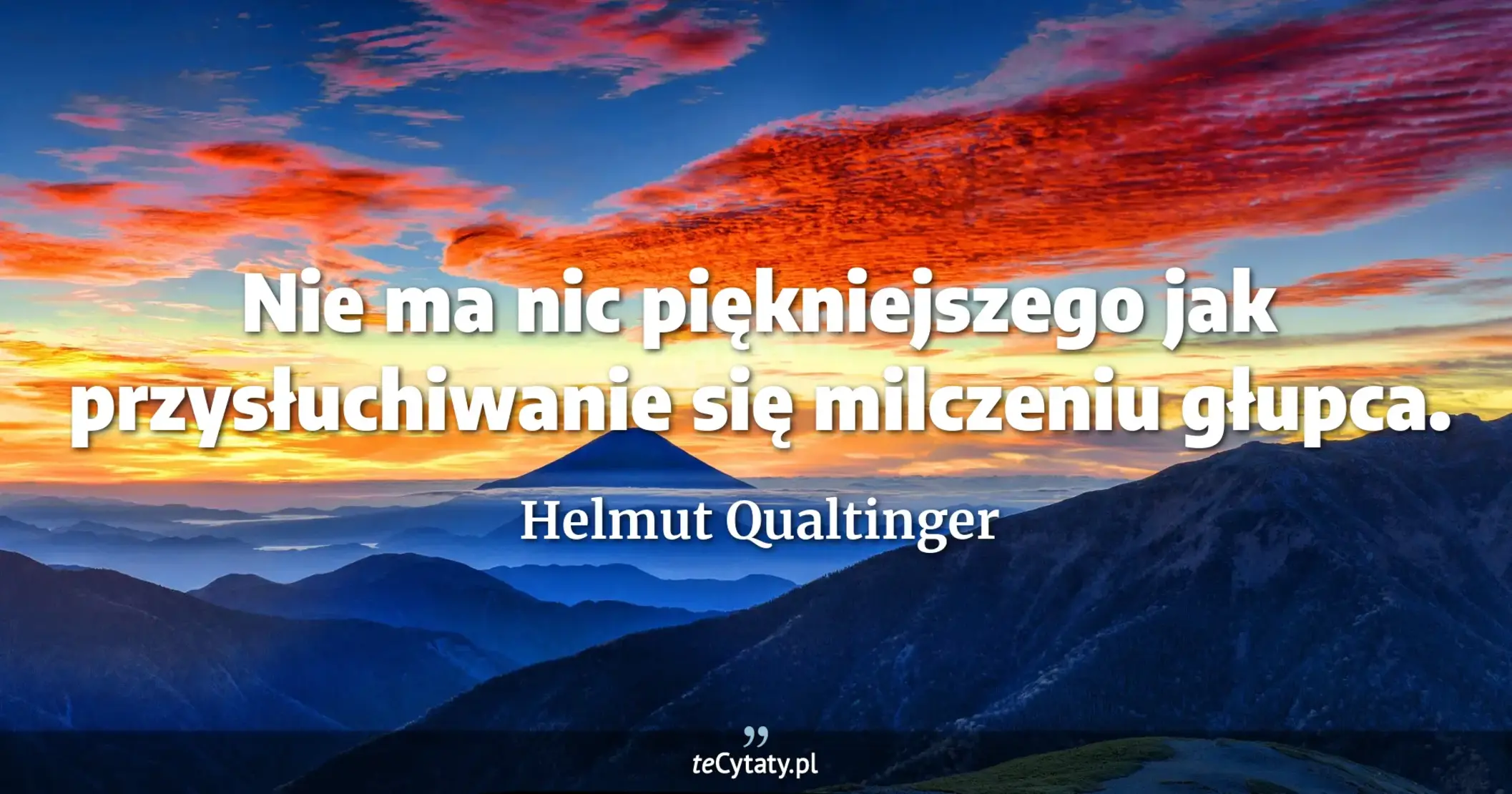 Nie ma nic piękniejszego jak przysłuchiwanie się milczeniu głupca. - Helmut Qualtinger