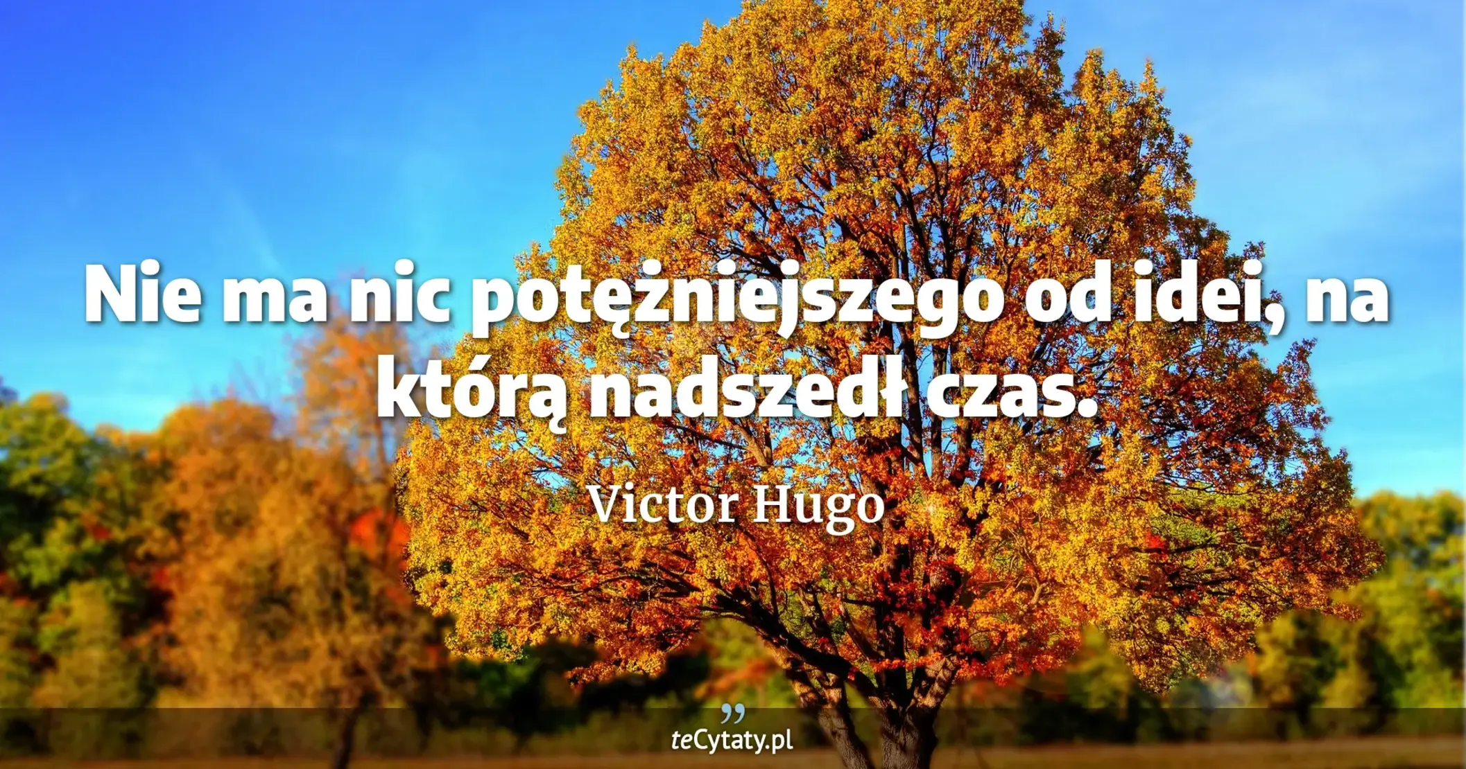 Nie ma nic potężniejszego od idei, na którą nadszedł czas. - Victor Hugo