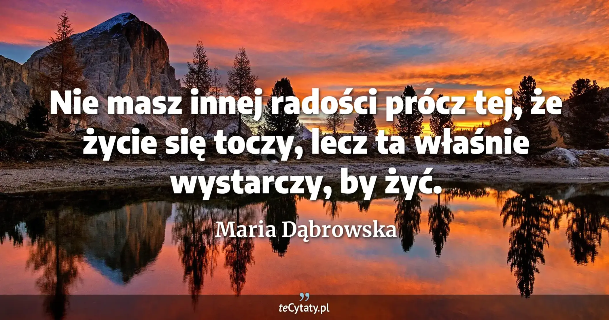 Nie masz innej radości prócz tej, że życie się toczy, lecz ta właśnie wystarczy, by żyć. - Maria Dąbrowska