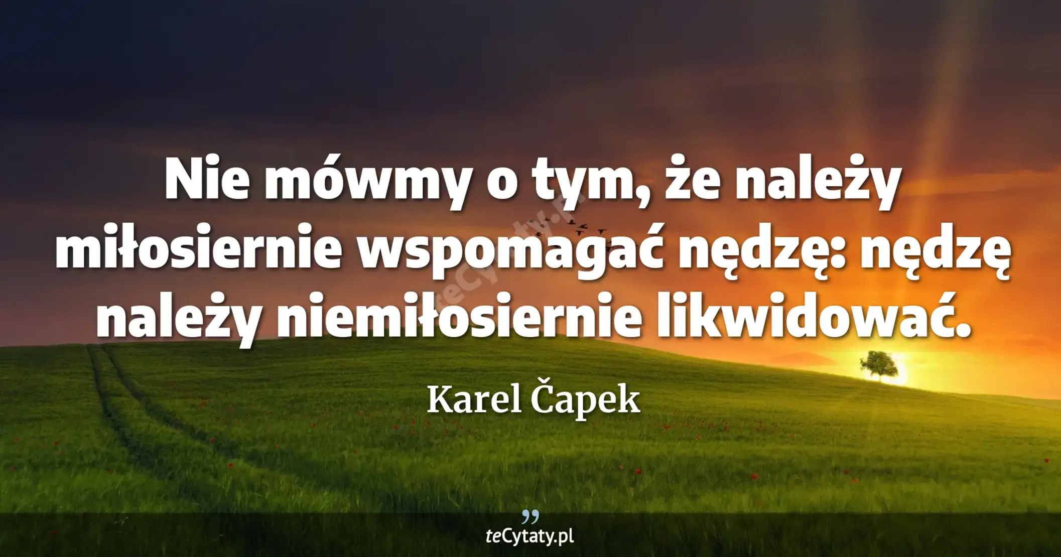 Nie mówmy o tym, że należy miłosiernie wspomagać nędzę: nędzę należy niemiłosiernie likwidować. - Karel Čapek