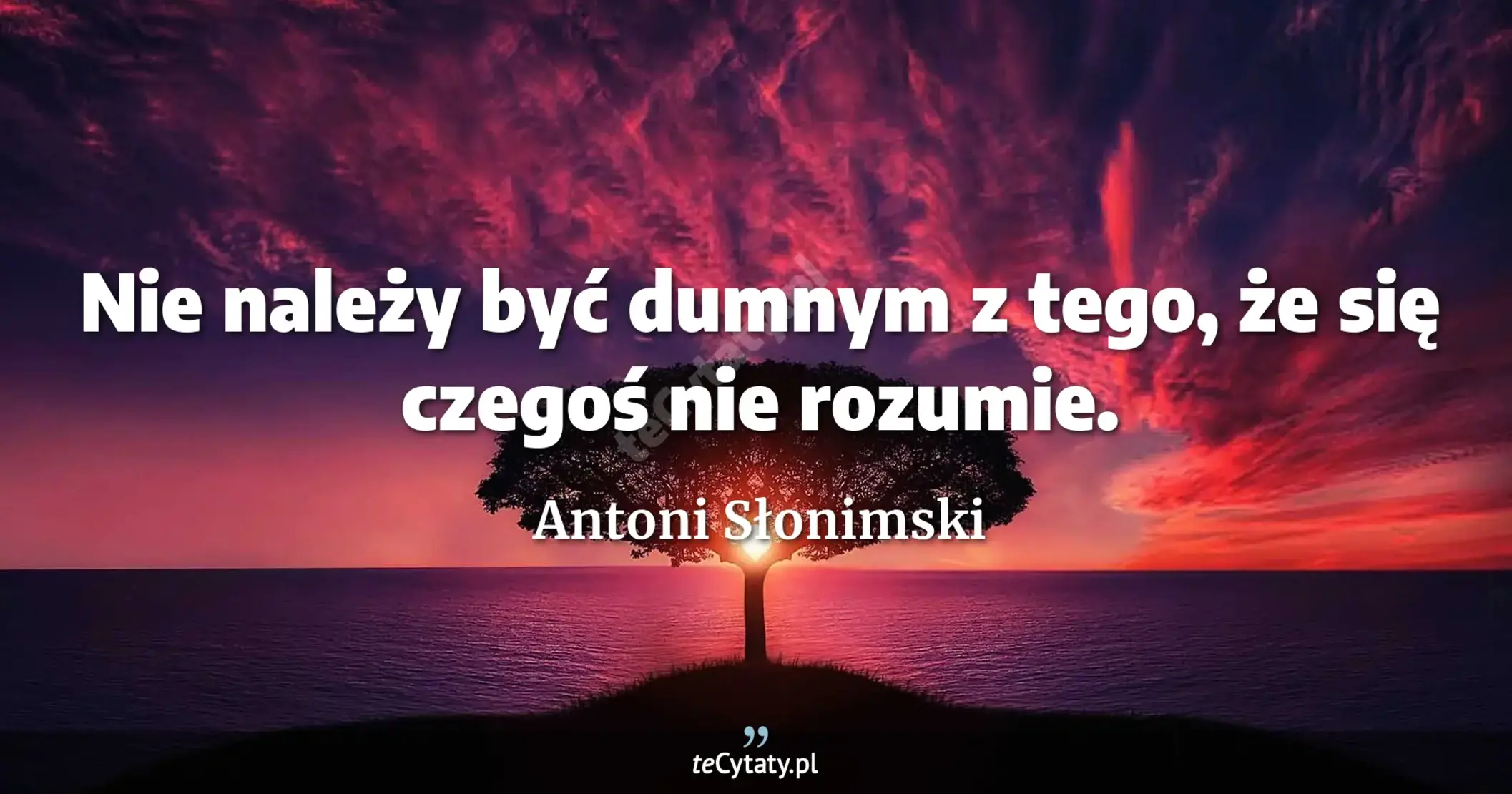 Nie należy być dumnym z tego, że się czegoś nie rozumie. - Antoni Słonimski