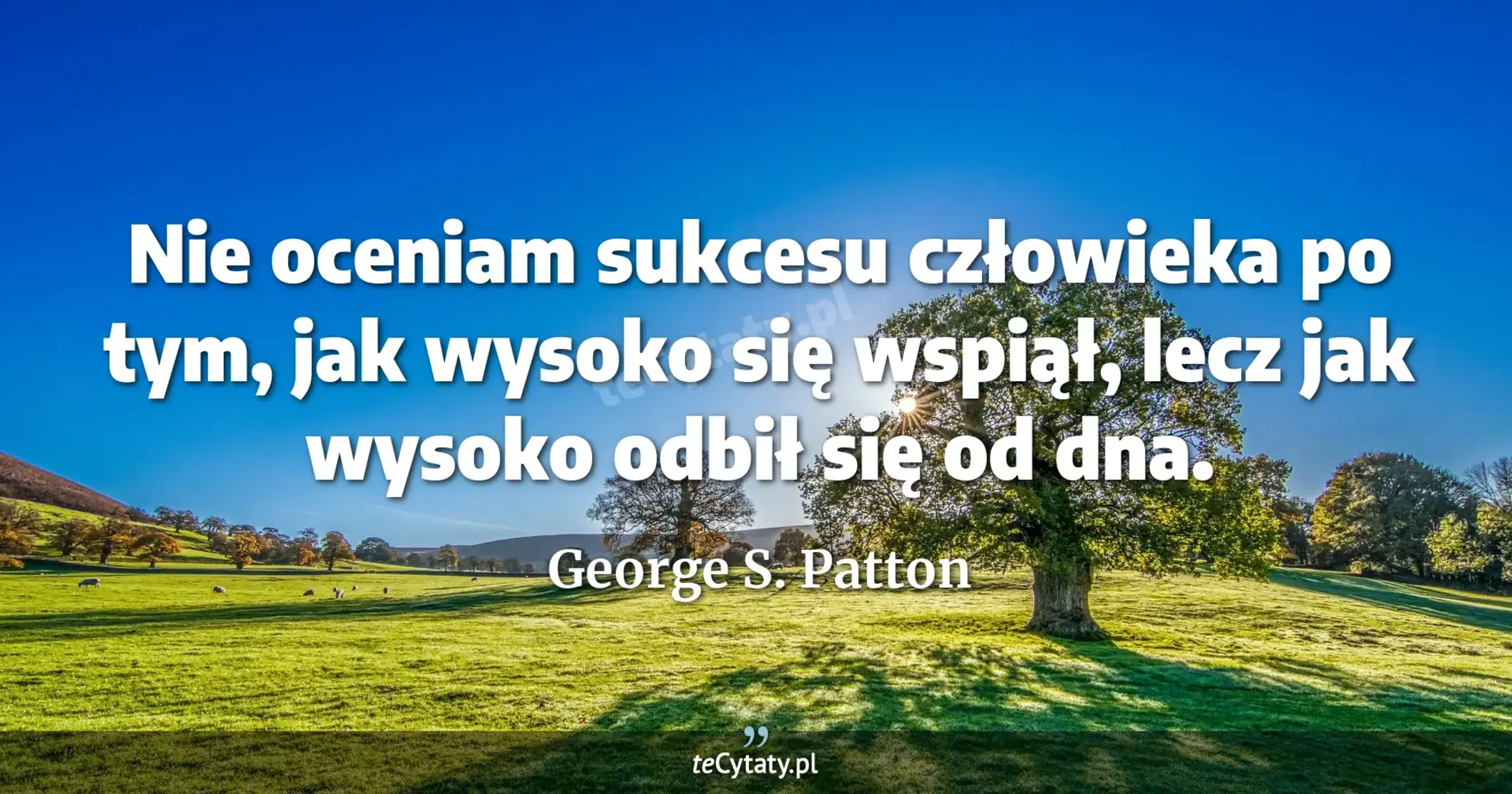 Nie oceniam sukcesu człowieka po tym, jak wysoko się wspiął, lecz jak wysoko odbił się od dna. - George S. Patton