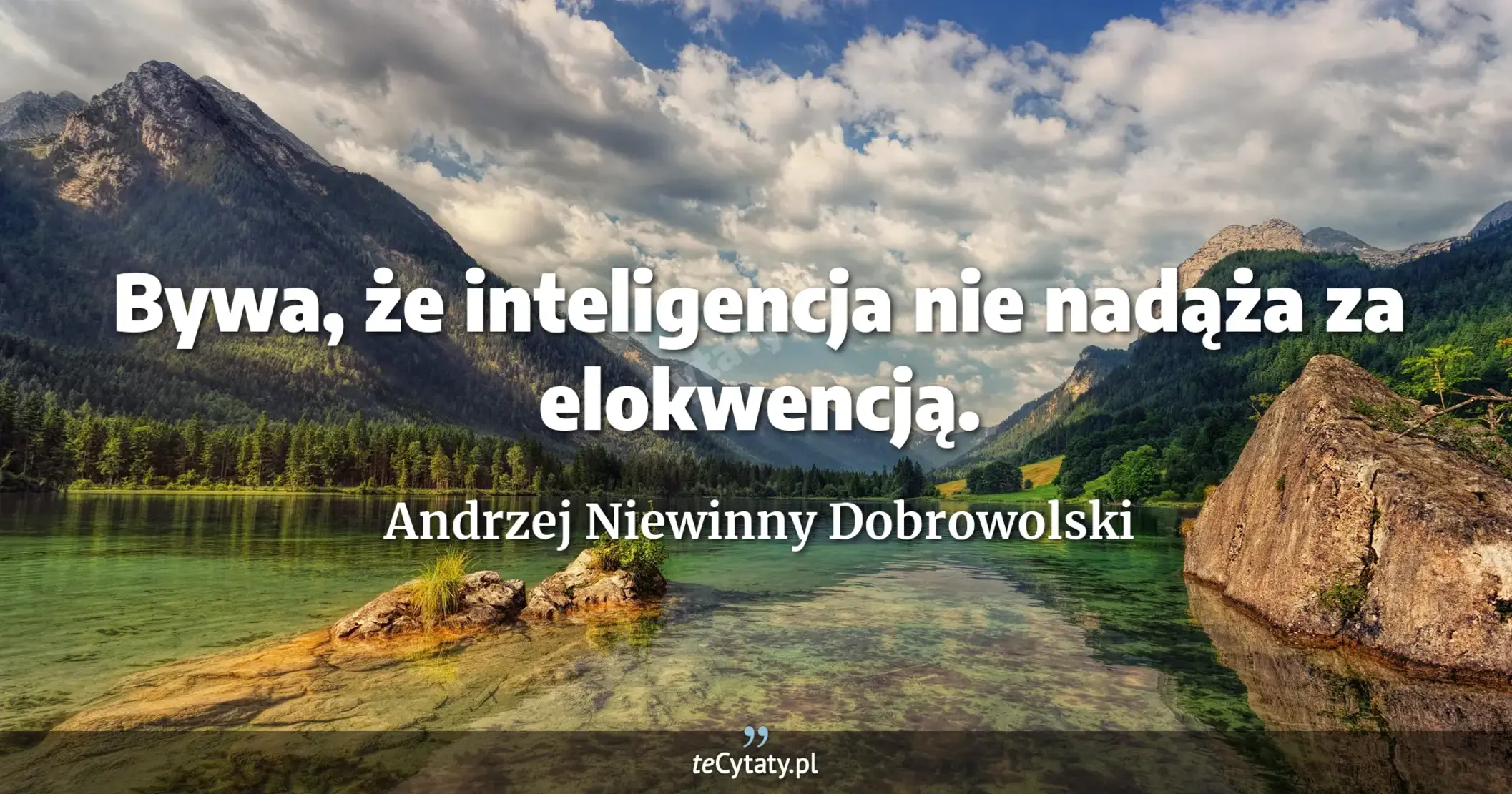 Bywa, że inteligencja nie nadąża za elokwencją. - Andrzej Niewinny Dobrowolski