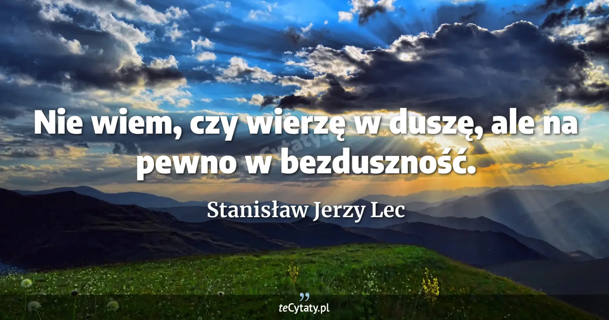Nie wiem, czy wierzę w duszę, ale na pewno w bezduszność. - Stanisław Jerzy Lec