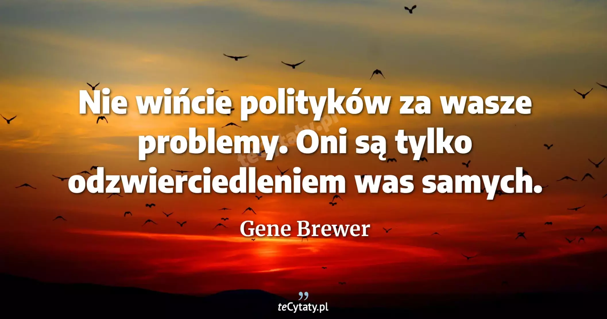 Nie wińcie polityków za wasze problemy. Oni są tylko odzwierciedleniem was samych. - Gene Brewer
