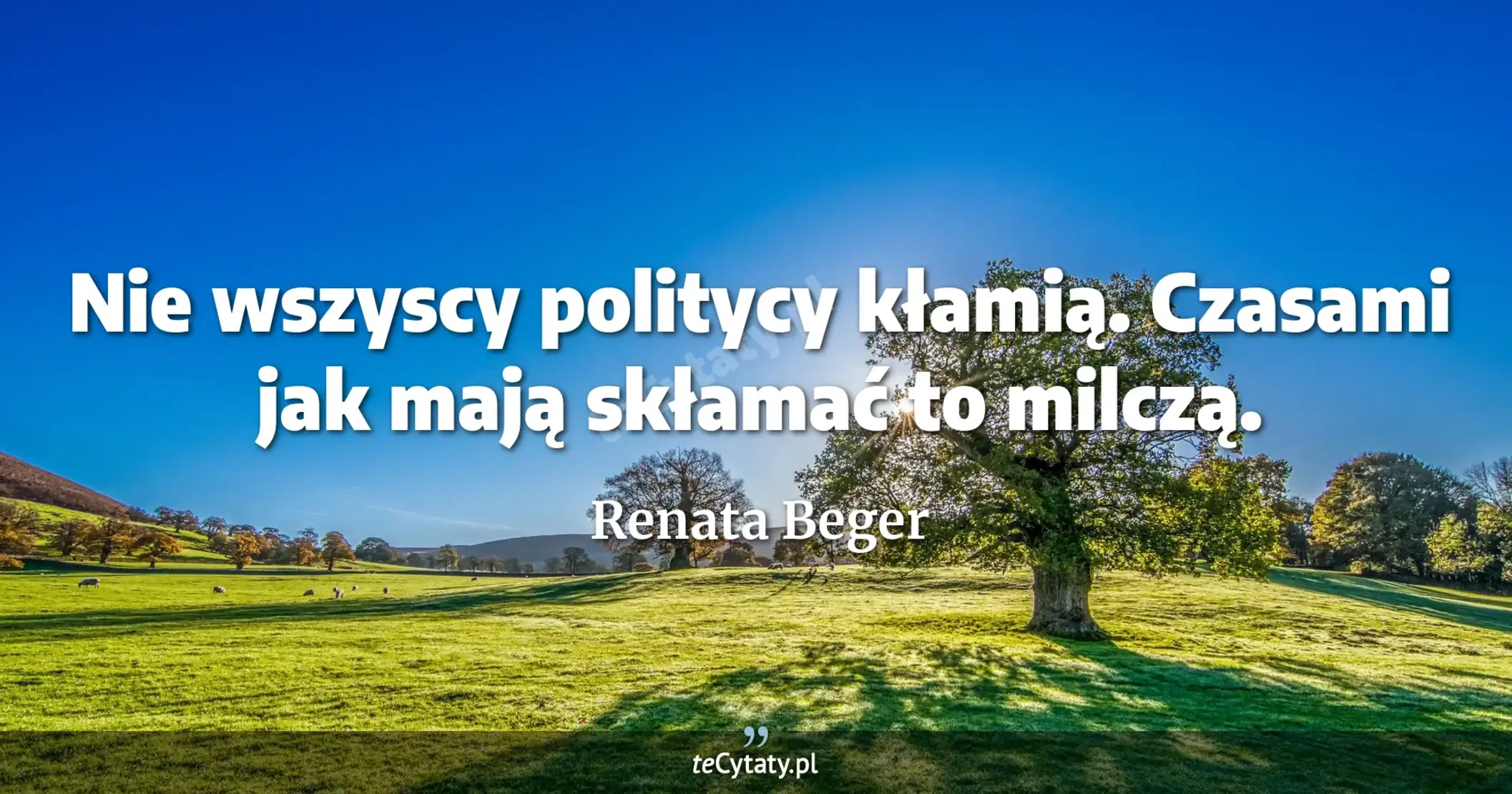 Nie wszyscy politycy kłamią. Czasami jak mają skłamać to milczą. - Renata Beger