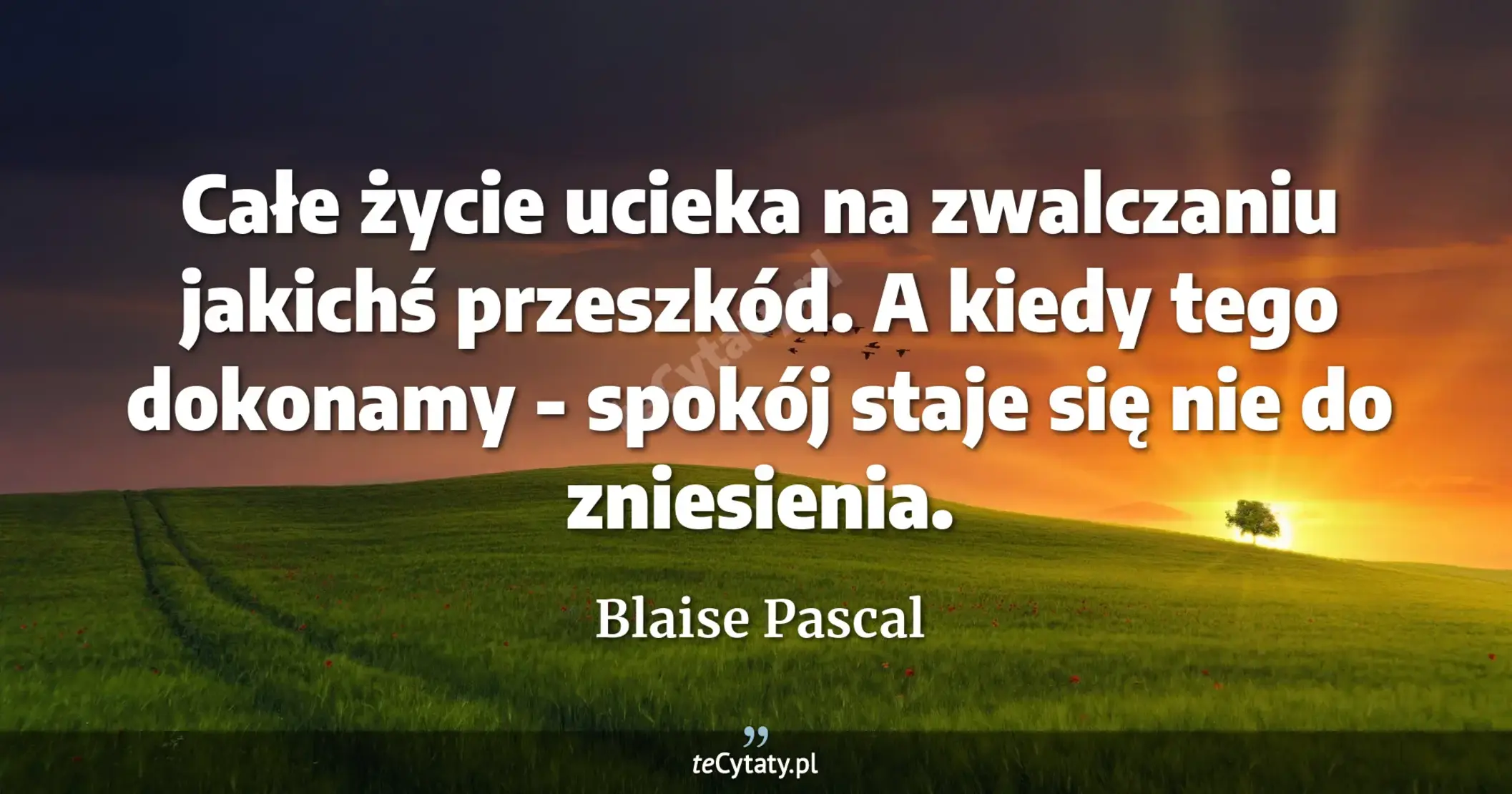 Całe życie ucieka na zwalczaniu jakichś przeszkód. A kiedy tego dokonamy - spokój staje się nie do zniesienia. - Blaise Pascal