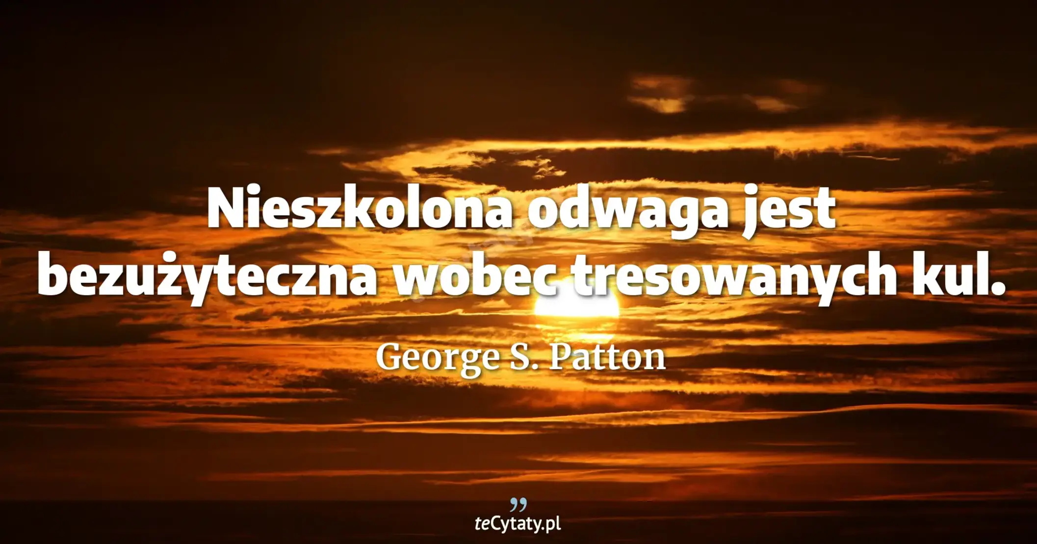 Nieszkolona odwaga jest bezużyteczna wobec tresowanych kul. - George S. Patton