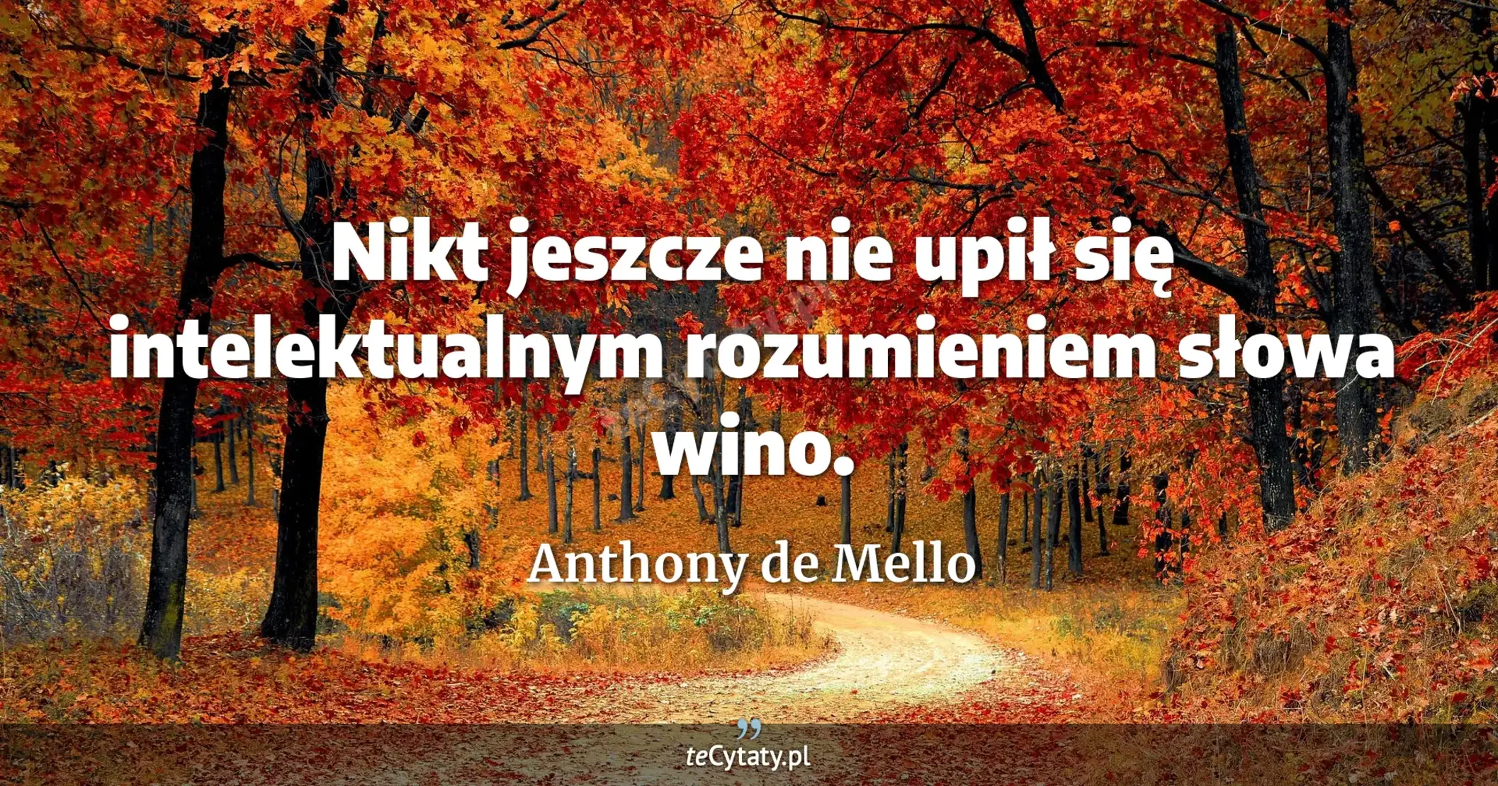 Nikt jeszcze nie upił się intelektualnym rozumieniem słowa wino. - Anthony de Mello