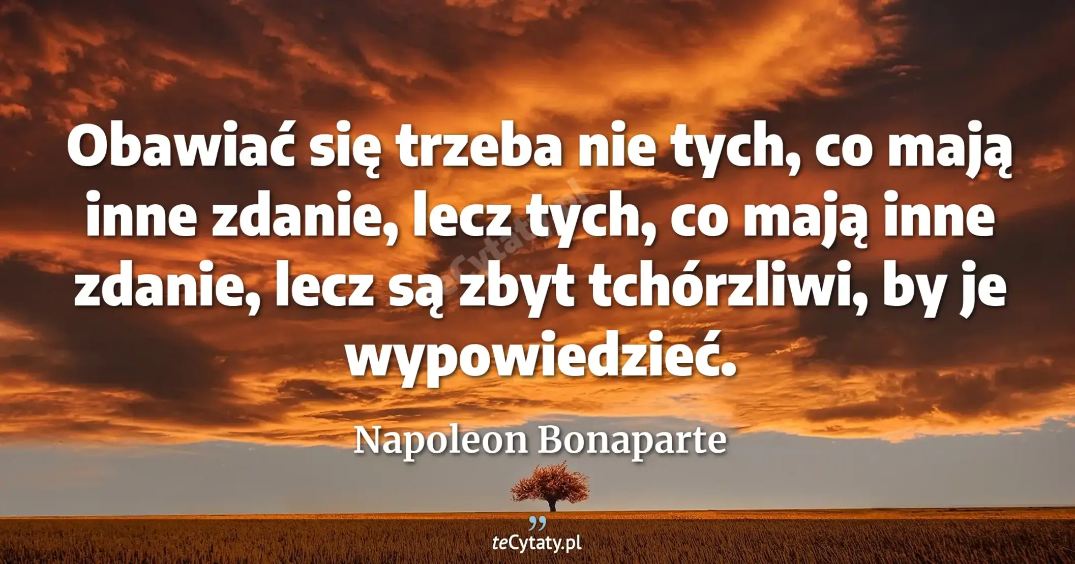 Obawiać się trzeba nie tych, co mają inne zdanie, lecz tych, co mają inne zdanie, lecz są zbyt tchórzliwi, by je wypowiedzieć. - Napoleon Bonaparte