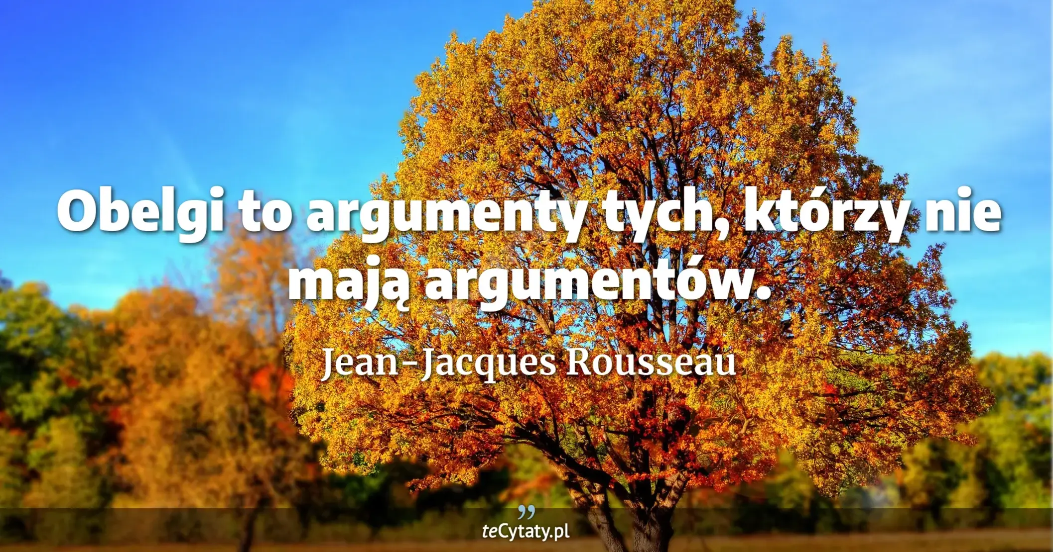 Obelgi to argumenty tych, którzy nie mają argumentów. - Jean-Jacques Rousseau