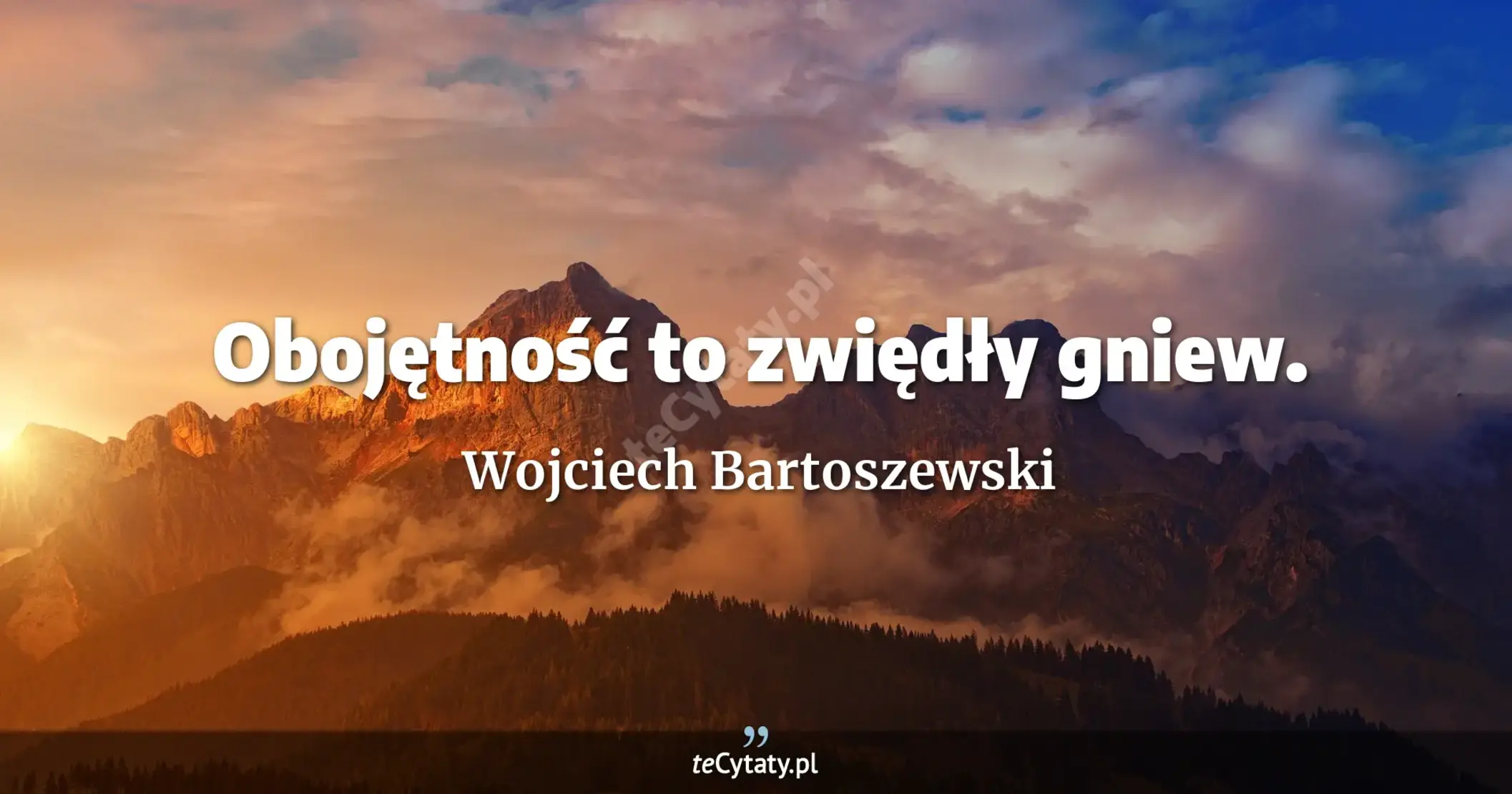 Obojętność to zwiędły gniew. - Wojciech Bartoszewski