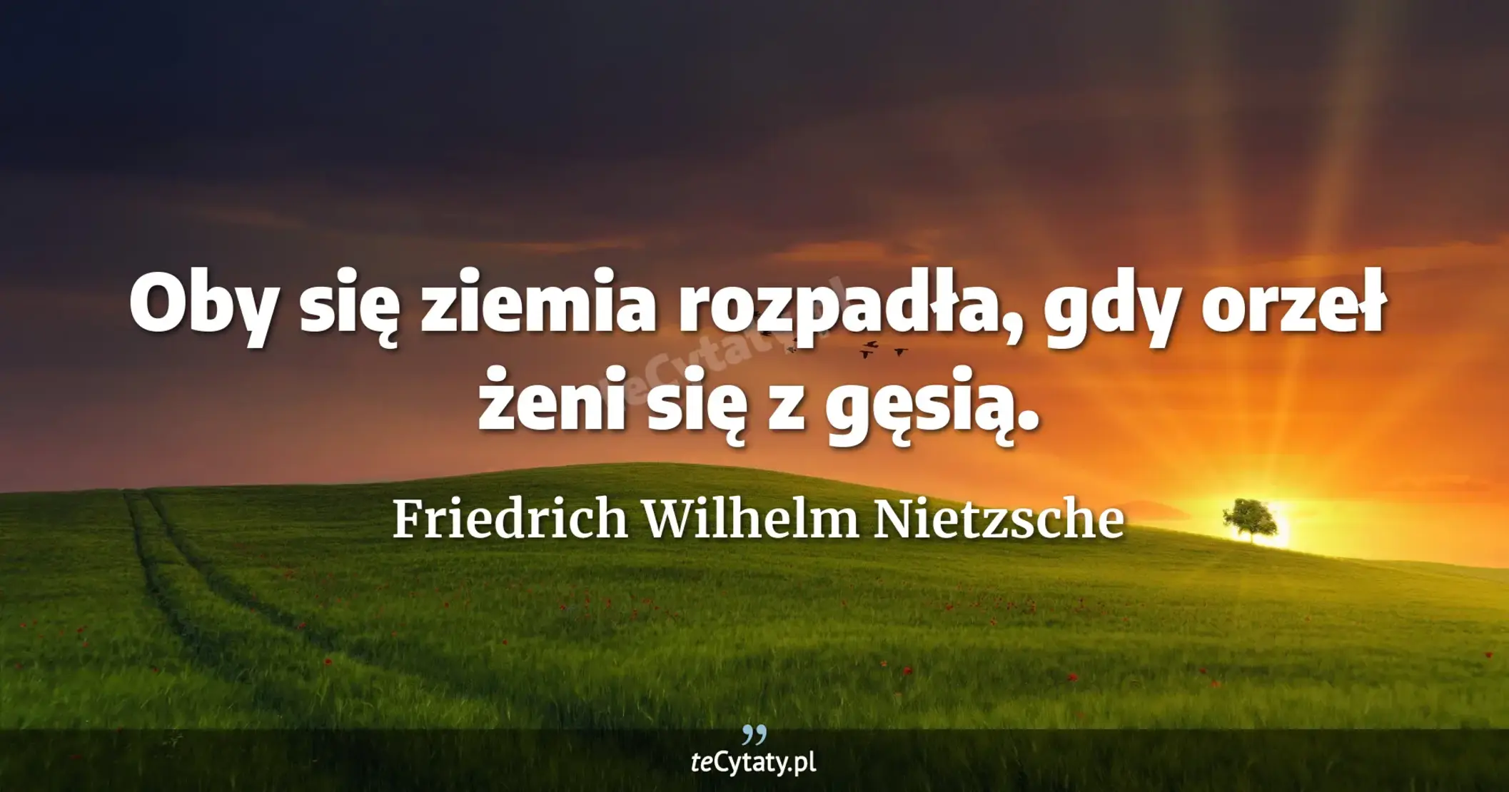 Oby się ziemia rozpadła, gdy orzeł żeni się z gęsią. - Friedrich Wilhelm Nietzsche