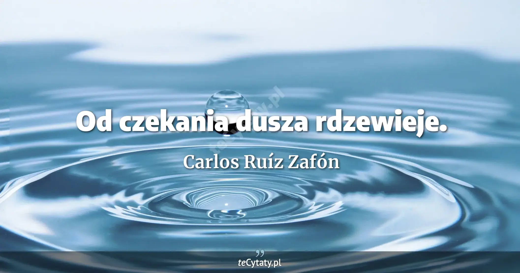 Od czekania dusza rdzewieje. - Carlos Ruíz Zafón