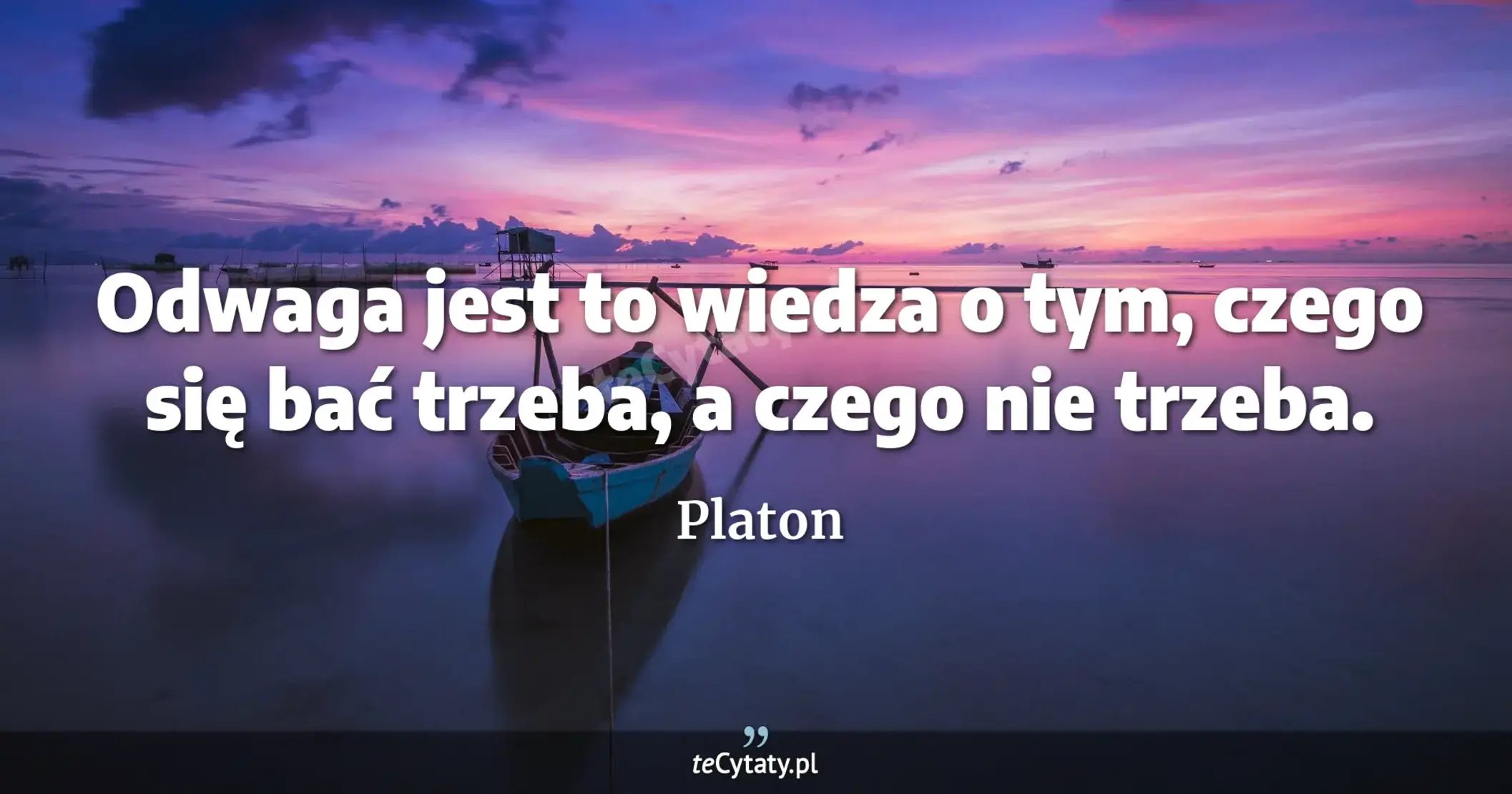 Odwaga jest to wiedza o tym, czego się bać trzeba, a czego nie trzeba. - Platon