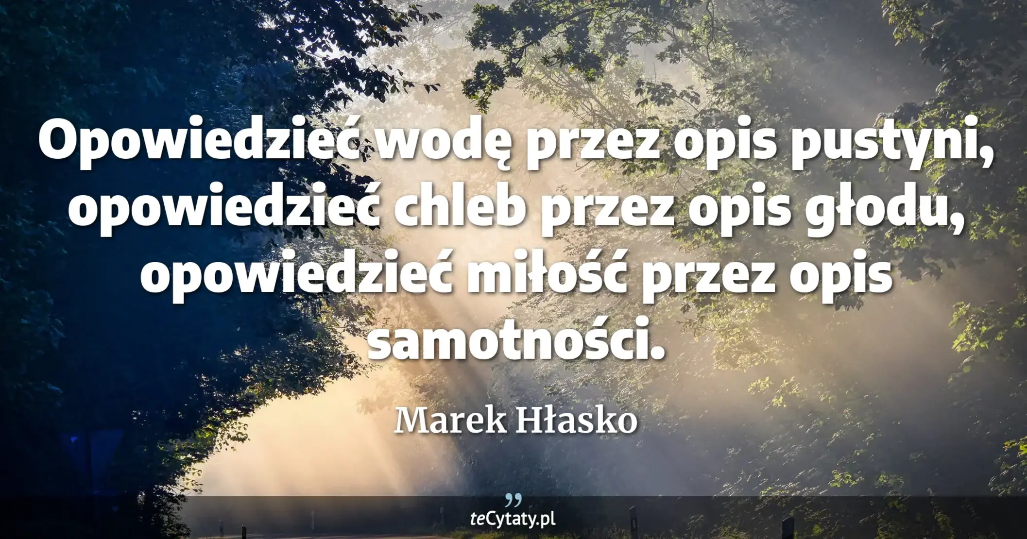 Opowiedzieć wodę przez opis pustyni, opowiedzieć chleb przez opis głodu, opowiedzieć miłość przez opis samotności. - Marek Hłasko