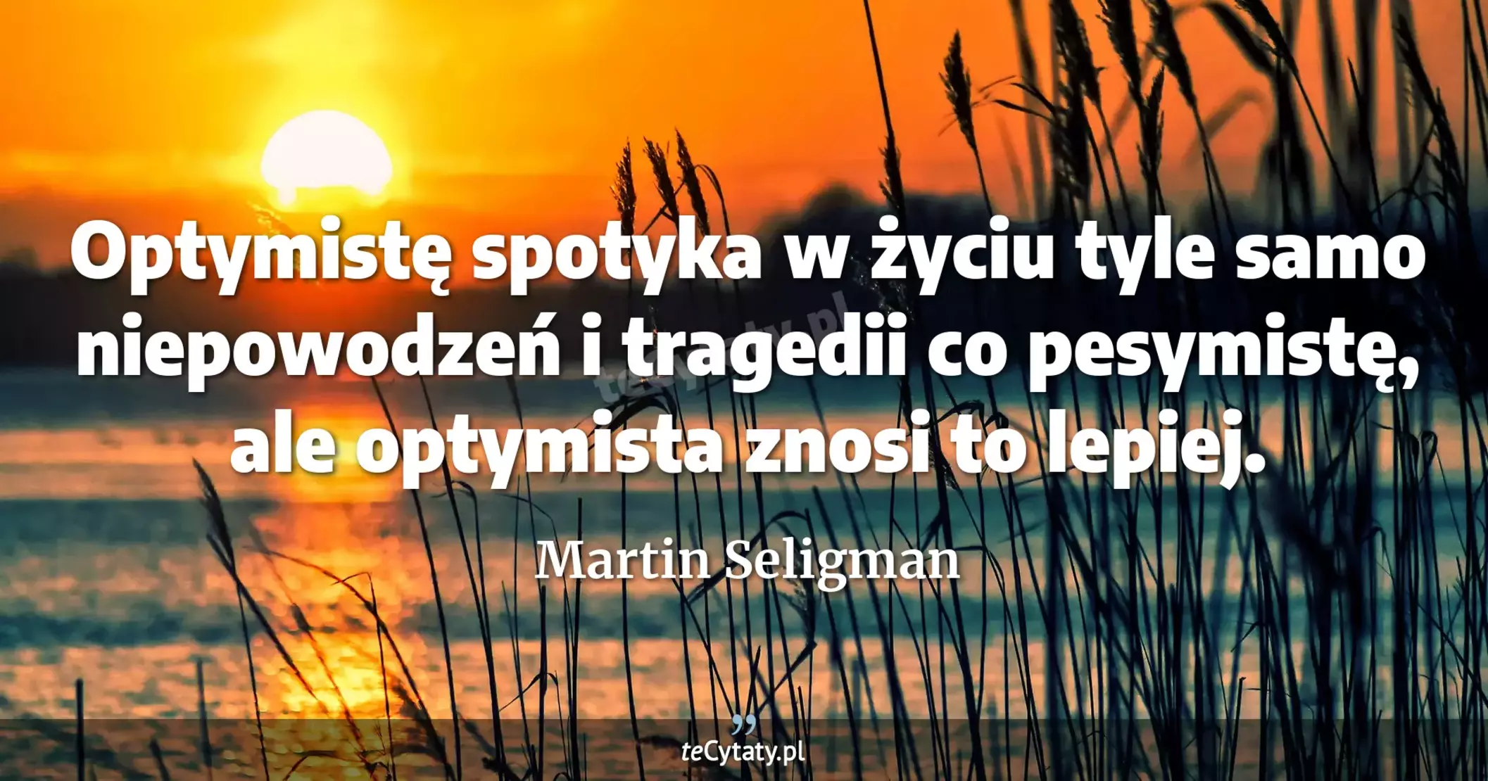 Optymistę spotyka w życiu tyle samo niepowodzeń i tragedii co pesymistę, ale optymista znosi to lepiej. - Martin Seligman
