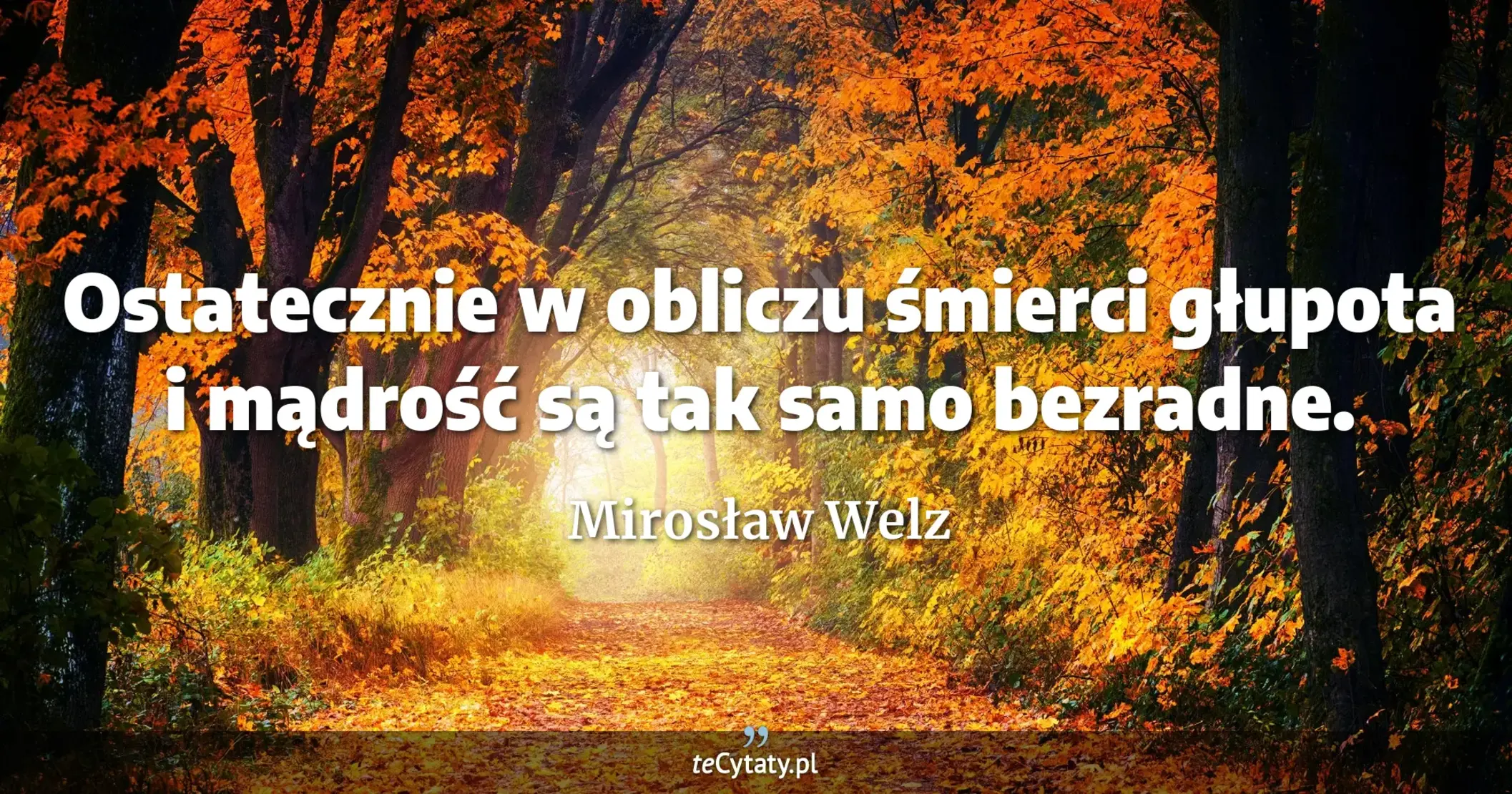 Ostatecznie w obliczu śmierci głupota i mądrość są tak samo bezradne. - Mirosław Welz