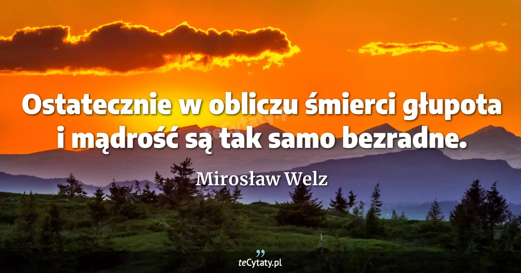 Ostatecznie w obliczu śmierci głupota i mądrość są tak samo bezradne. - Mirosław Welz