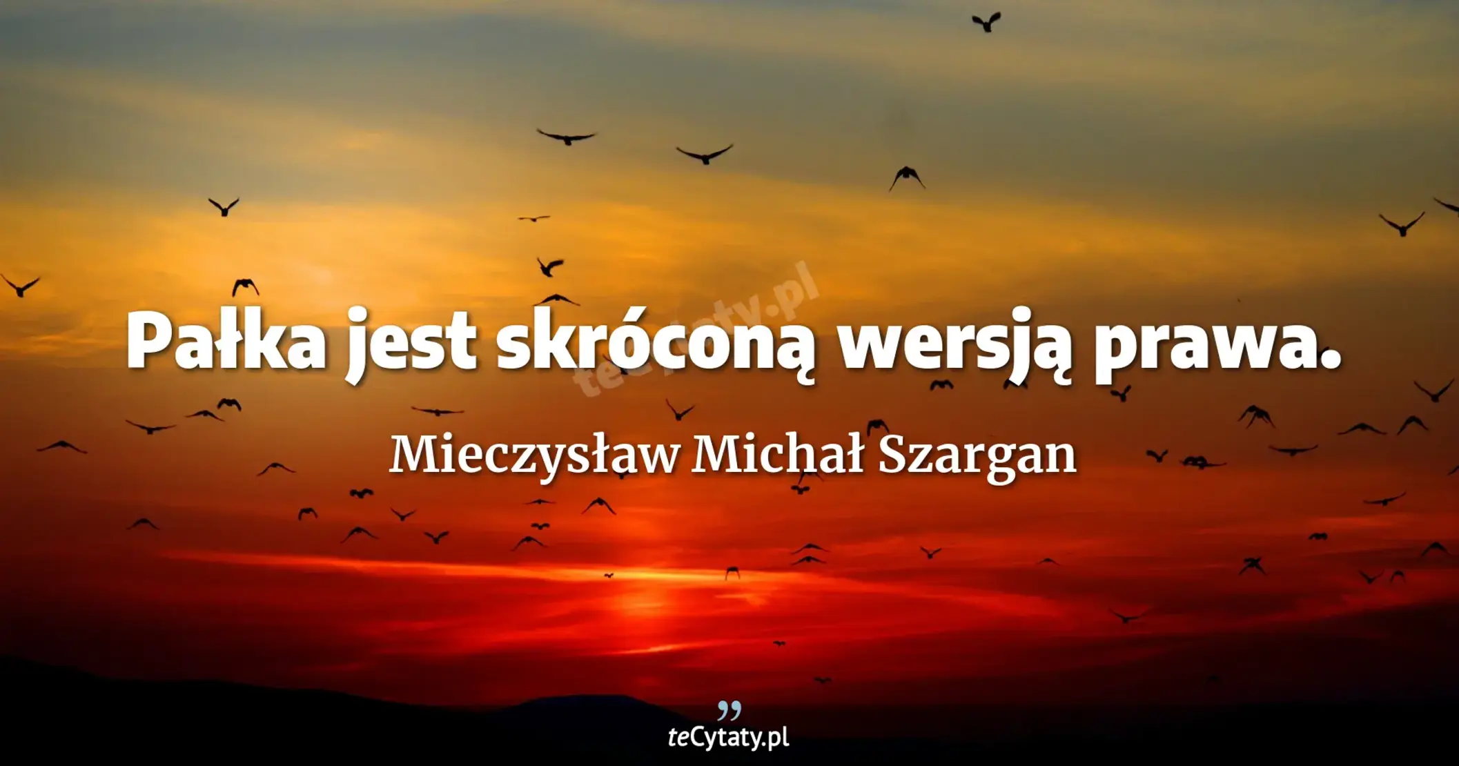 Pałka jest skróconą wersją prawa. - Mieczysław Michał Szargan