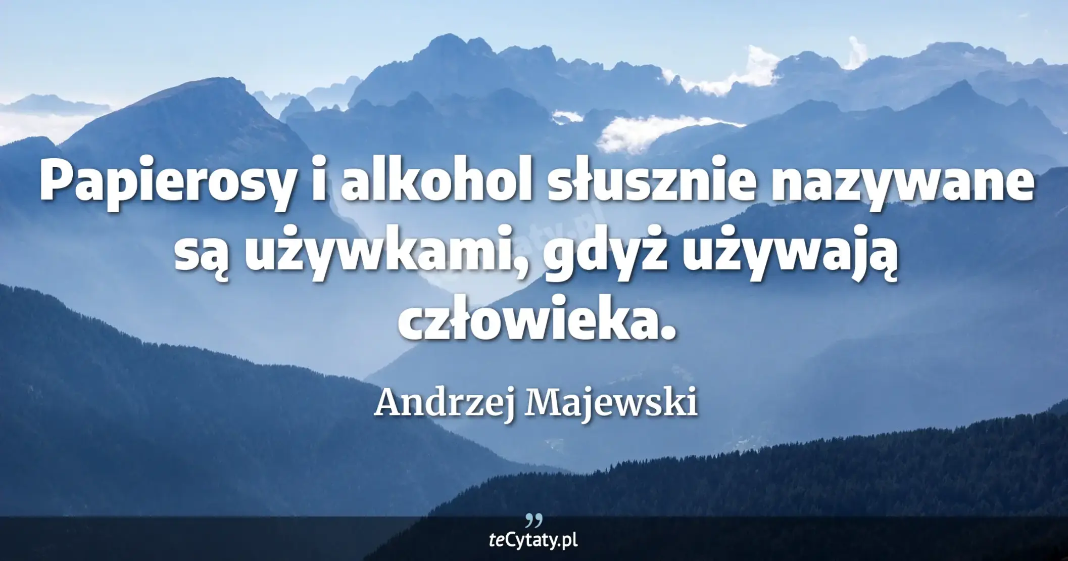 Papierosy i alkohol słusznie nazywane są używkami, gdyż używają człowieka. - Andrzej Majewski