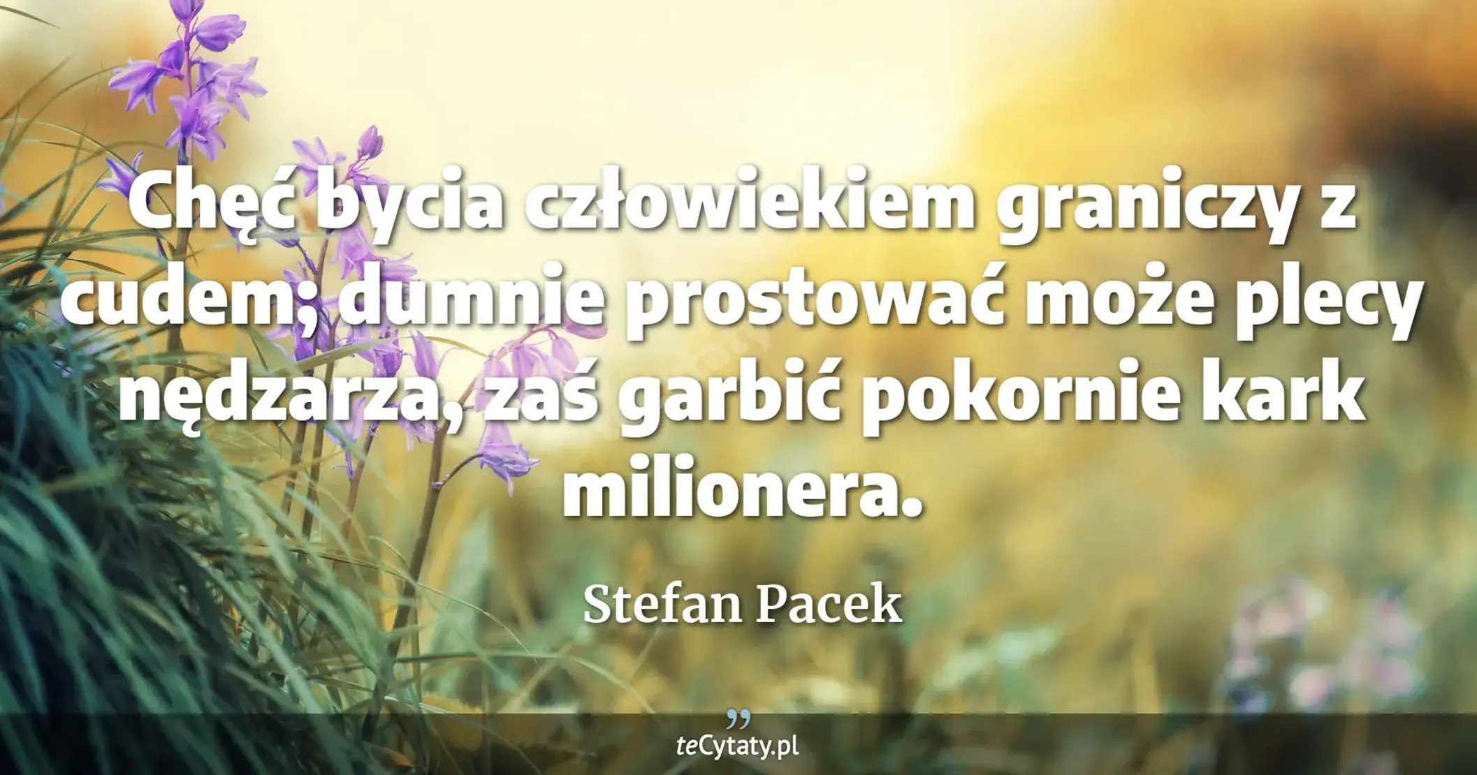 Chęć bycia człowiekiem graniczy z cudem; dumnie prostować może plecy nędzarza, zaś garbić pokornie kark milionera. - Stefan Pacek