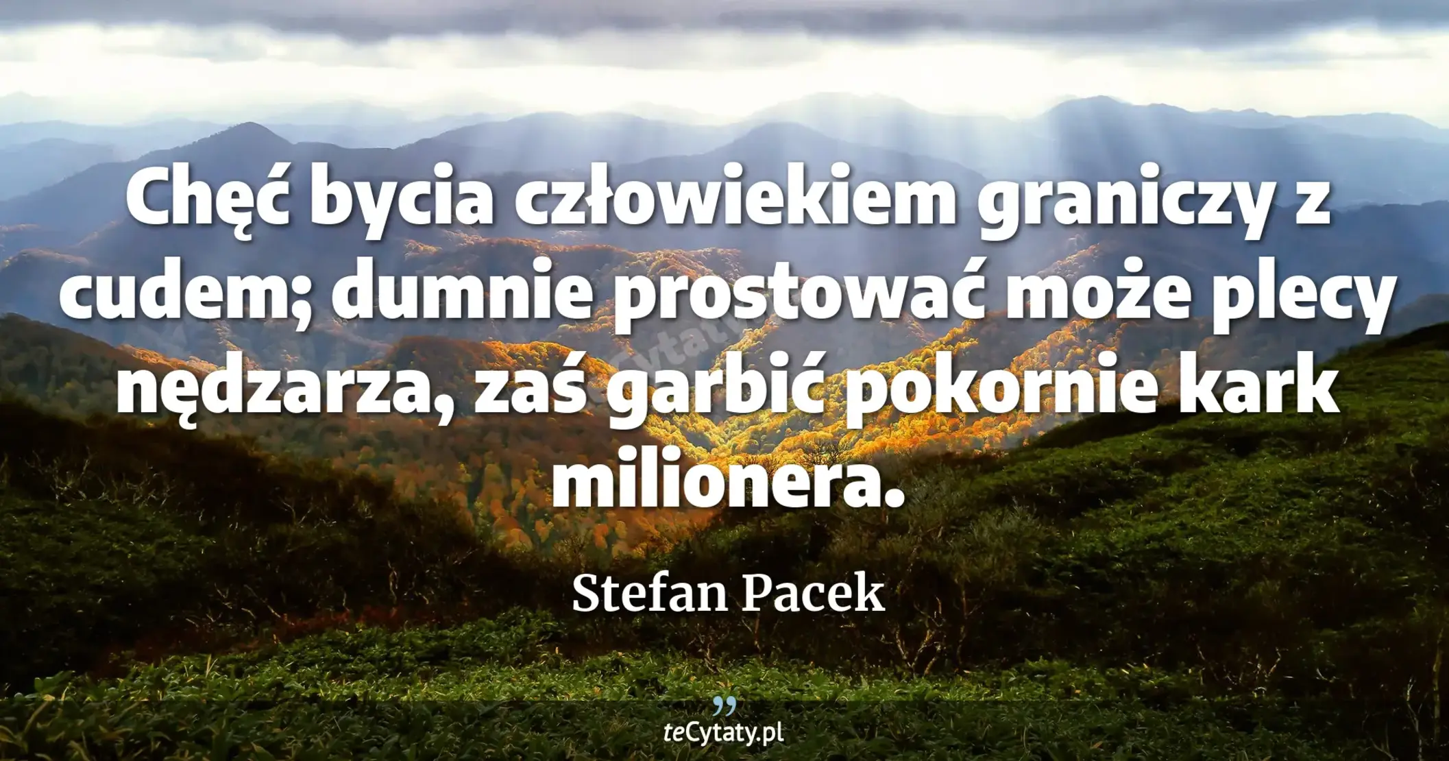 Chęć bycia człowiekiem graniczy z cudem; dumnie prostować może plecy nędzarza, zaś garbić pokornie kark milionera. - Stefan Pacek