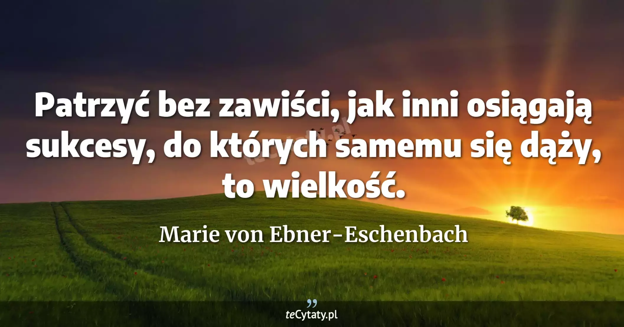 Patrzyć bez zawiści, jak inni osiągają sukcesy, do których samemu się dąży, to wielkość. - Marie von Ebner-Eschenbach