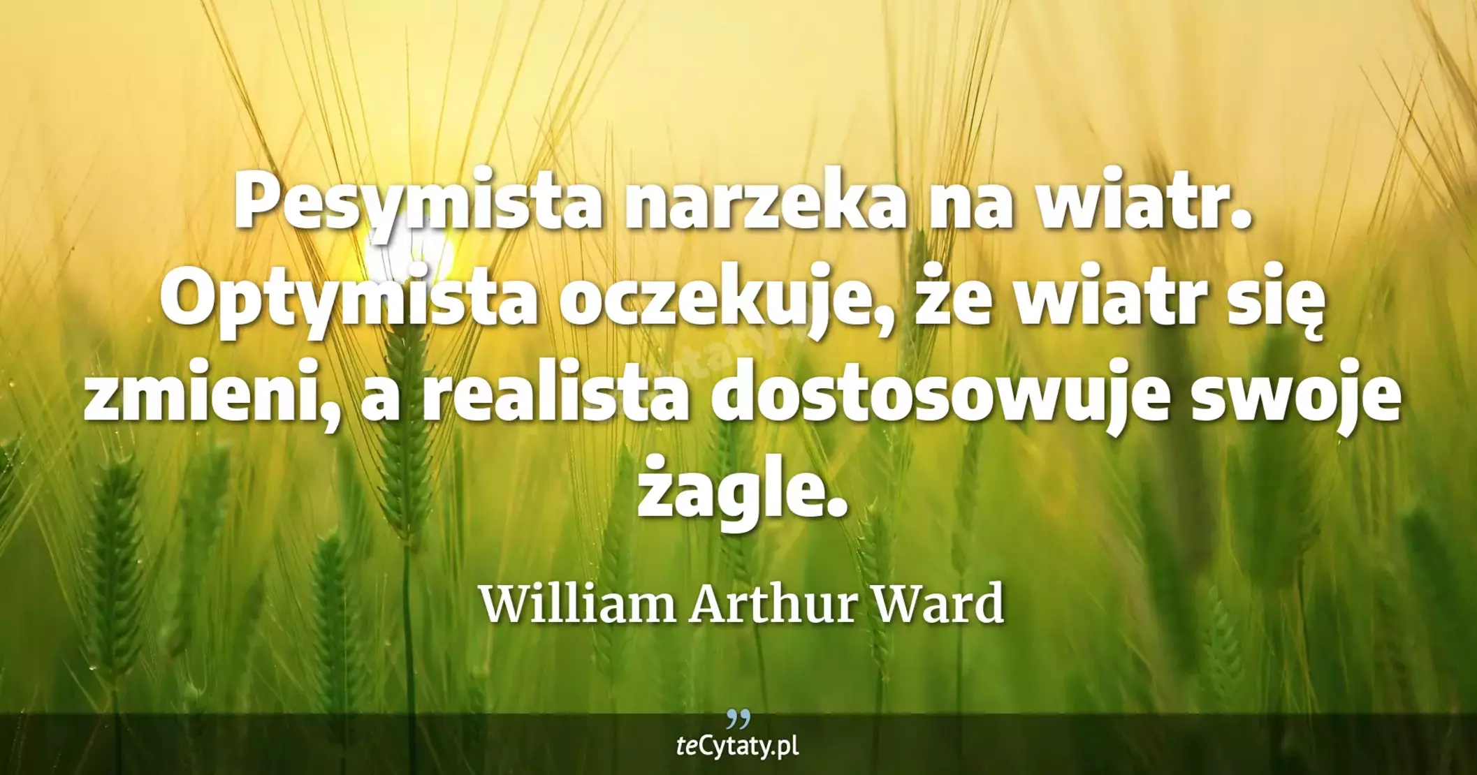 Pesymista narzeka na wiatr. Optymista oczekuje, że wiatr się zmieni, a realista dostosowuje swoje żagle. - William Arthur Ward