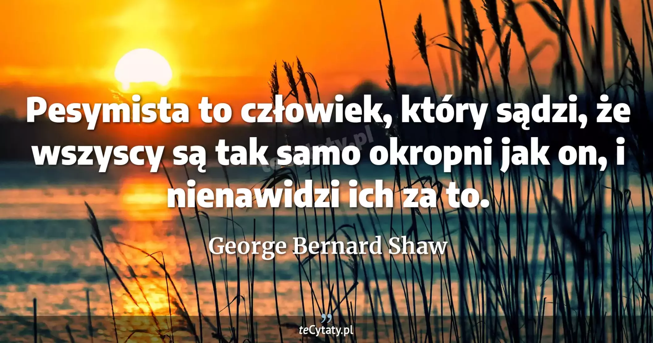 Pesymista to człowiek, który sądzi, że wszyscy są tak samo okropni jak on, i nienawidzi ich za to. - George Bernard Shaw